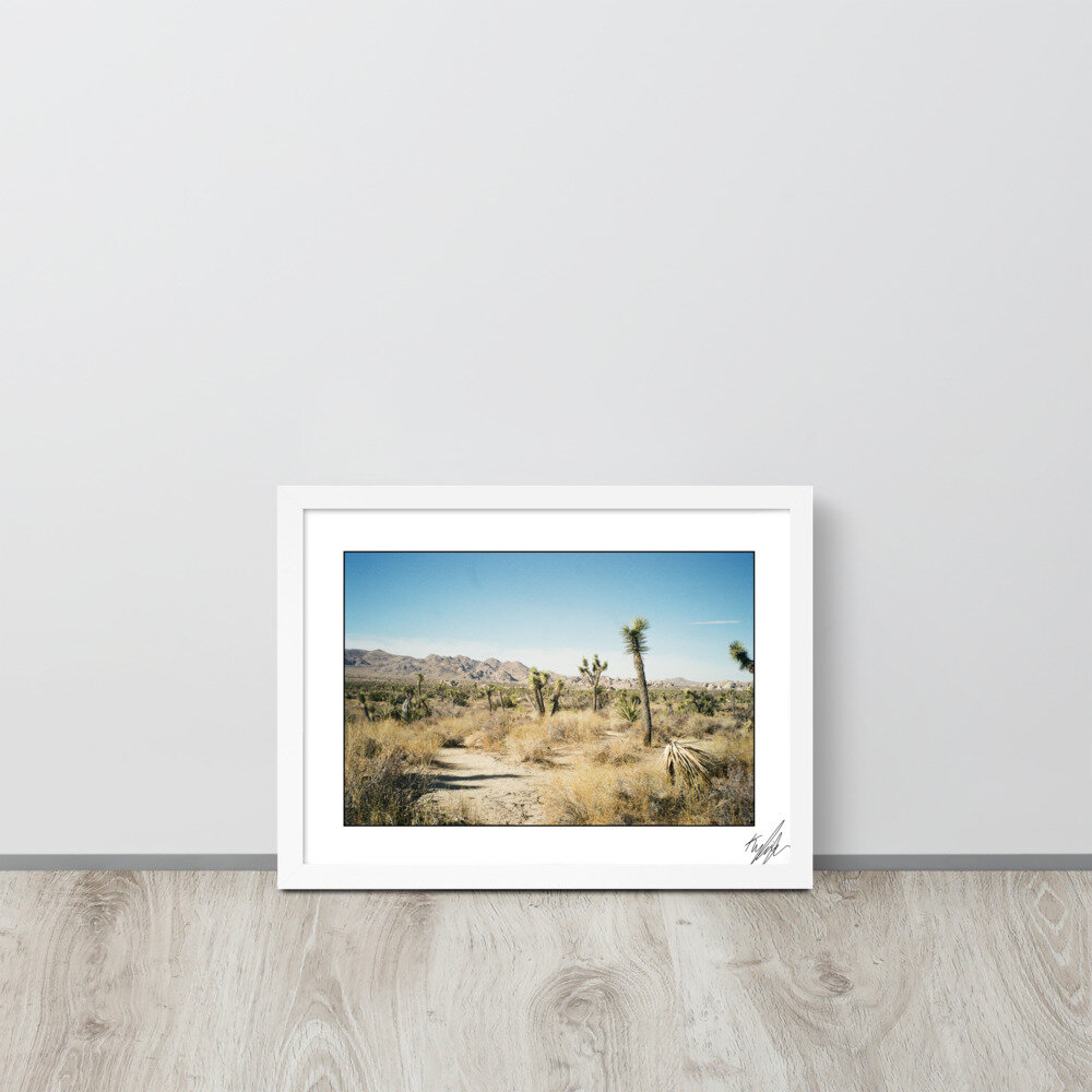 enhanced-matte-paper-framed-poster-(in)-white-12x16-front-61436cad1bc51.jpg