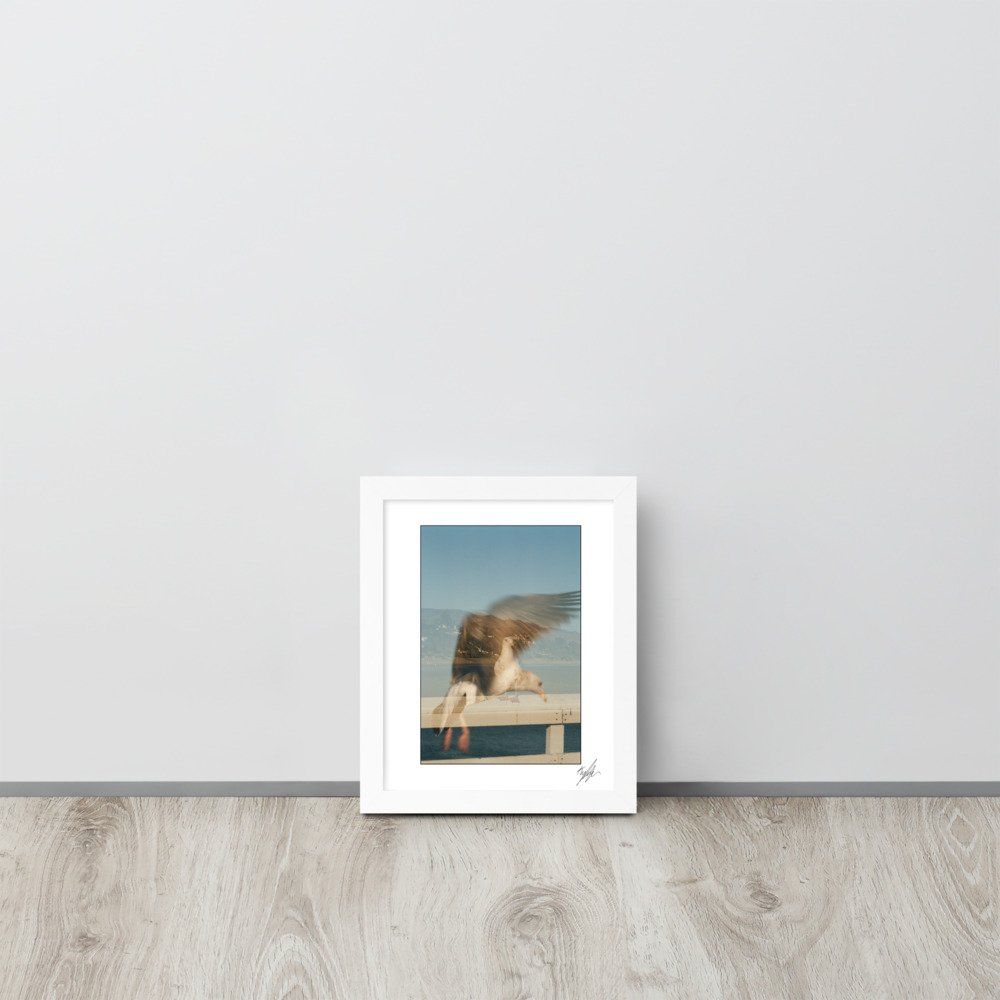 enhanced-matte-paper-framed-poster-(in)-white-8x10-front-6197e5471efe3.jpg
