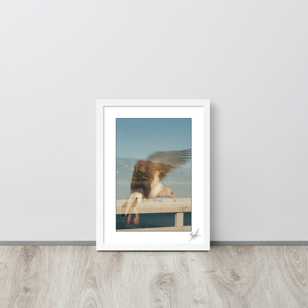 enhanced-matte-paper-framed-poster-(in)-white-12x16-front-6197e5471f0b1.jpg