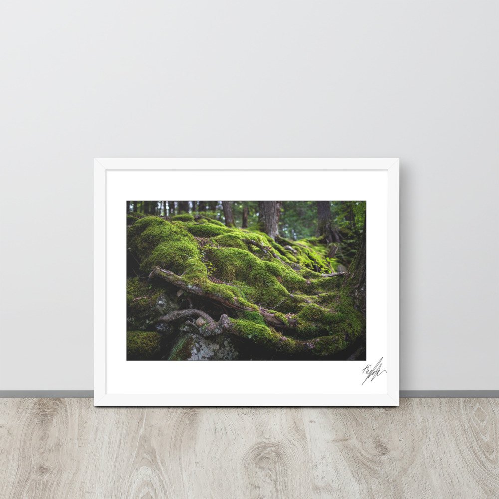 enhanced-matte-paper-framed-poster-(in)-white-16x20-front-628c3d528cf3e.jpg