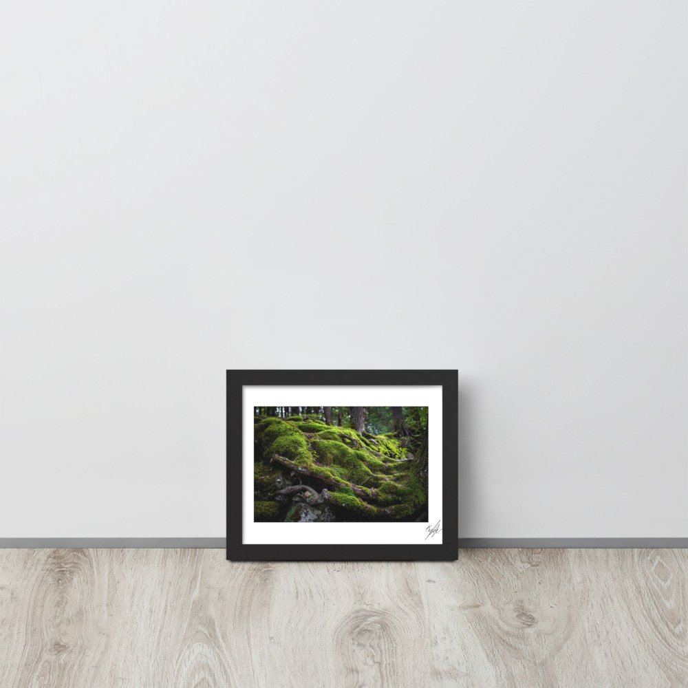 enhanced-matte-paper-framed-poster-(in)-black-8x10-front-628c3d528d060.jpg