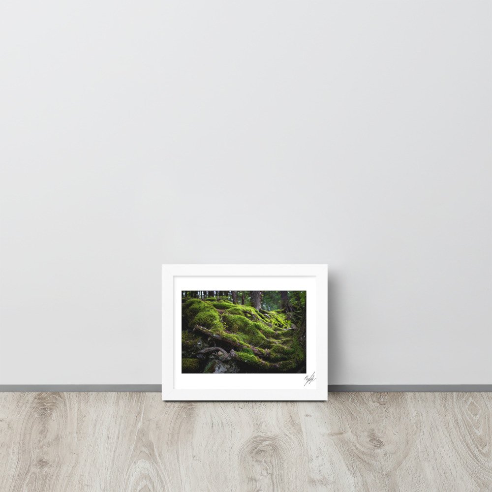 enhanced-matte-paper-framed-poster-(in)-white-8x10-front-628c3d528d424.jpg