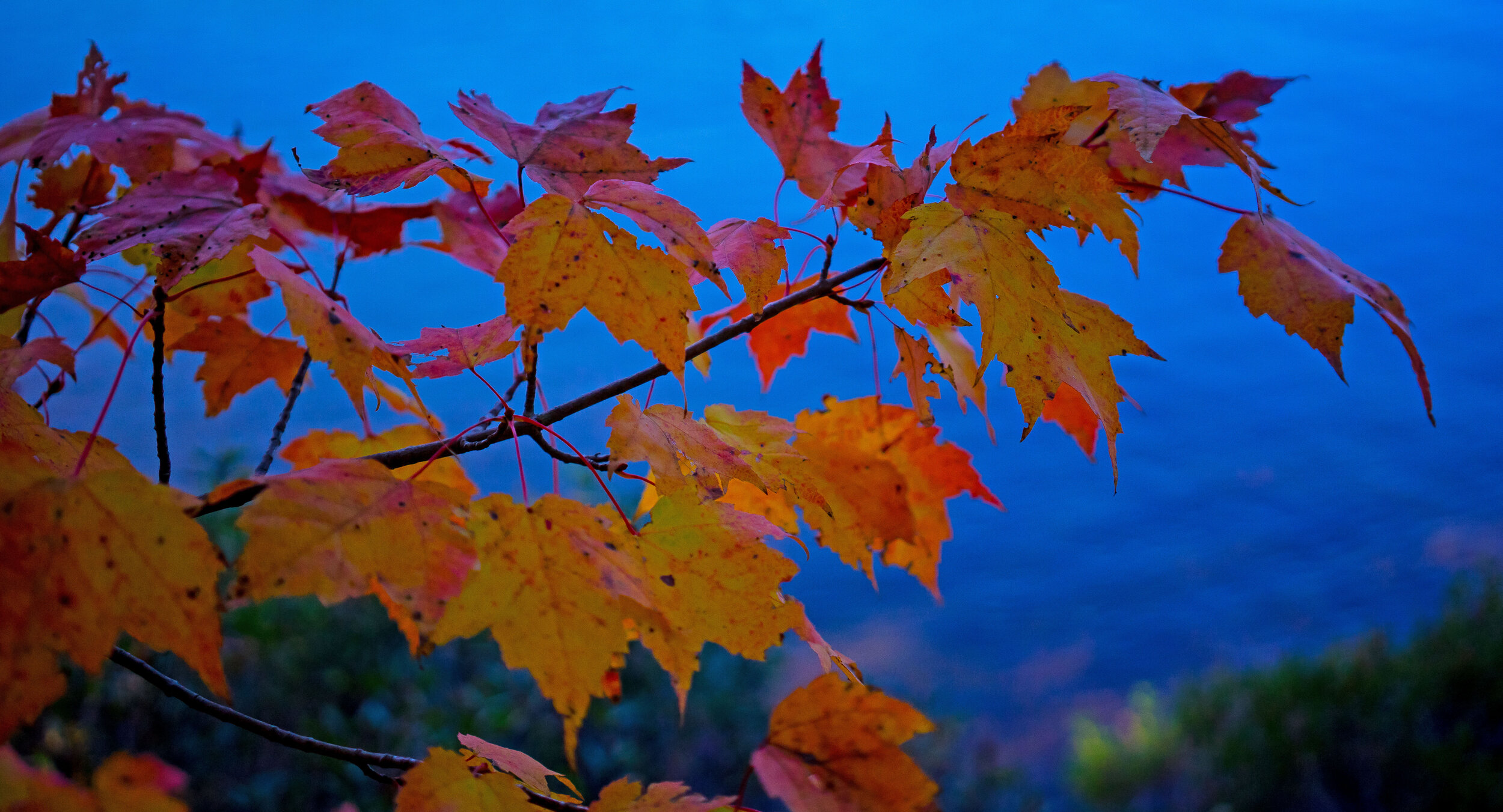 _DSC3994ed1.jpg
