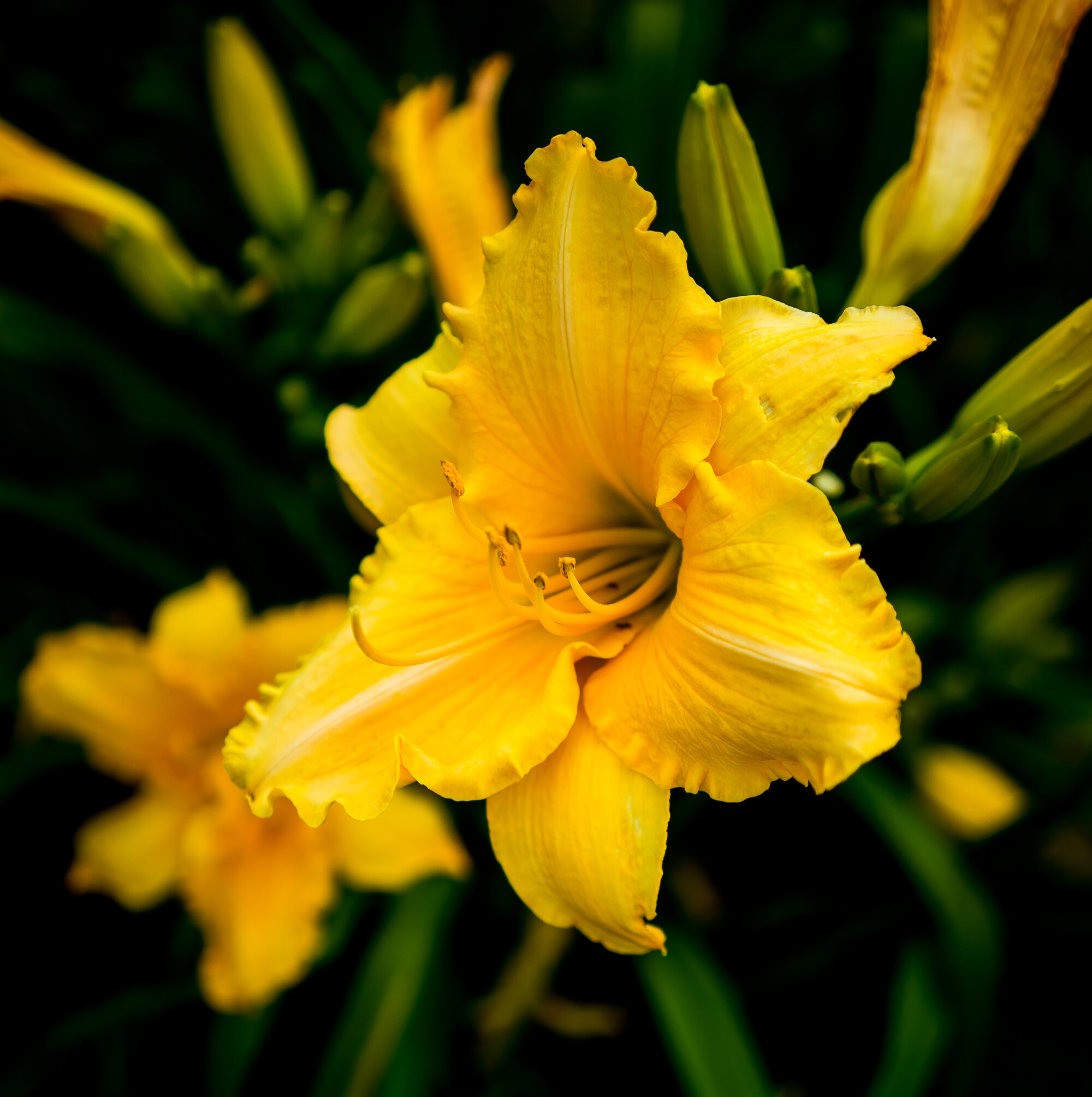 The symmetry and beauty of nature amazes me some times.