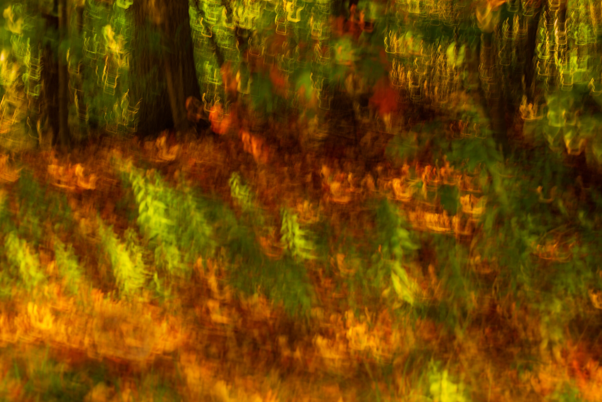 DSC_3069 copy.jpgresized.jpg