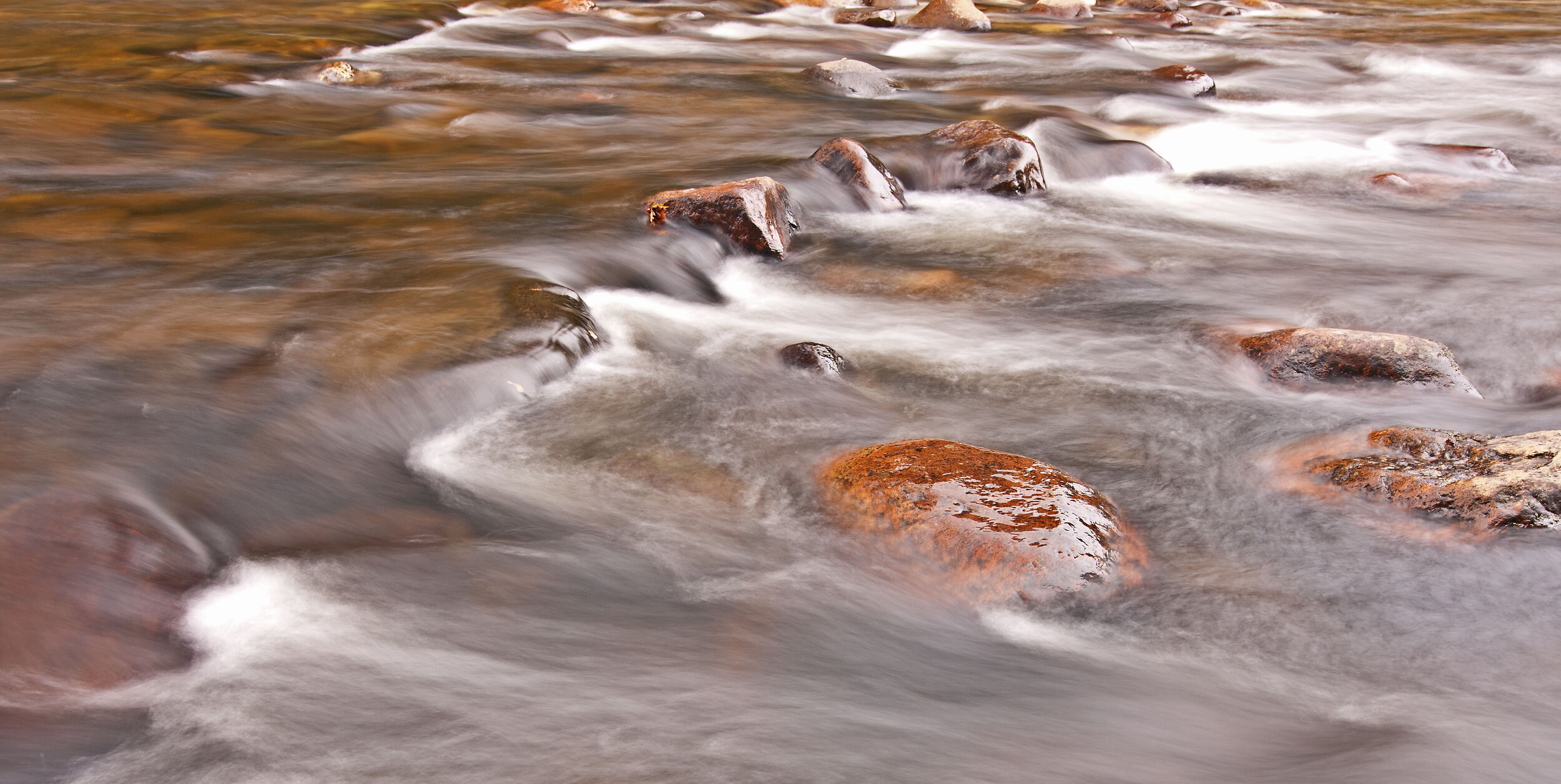DSC_2814ed4cp.jpg