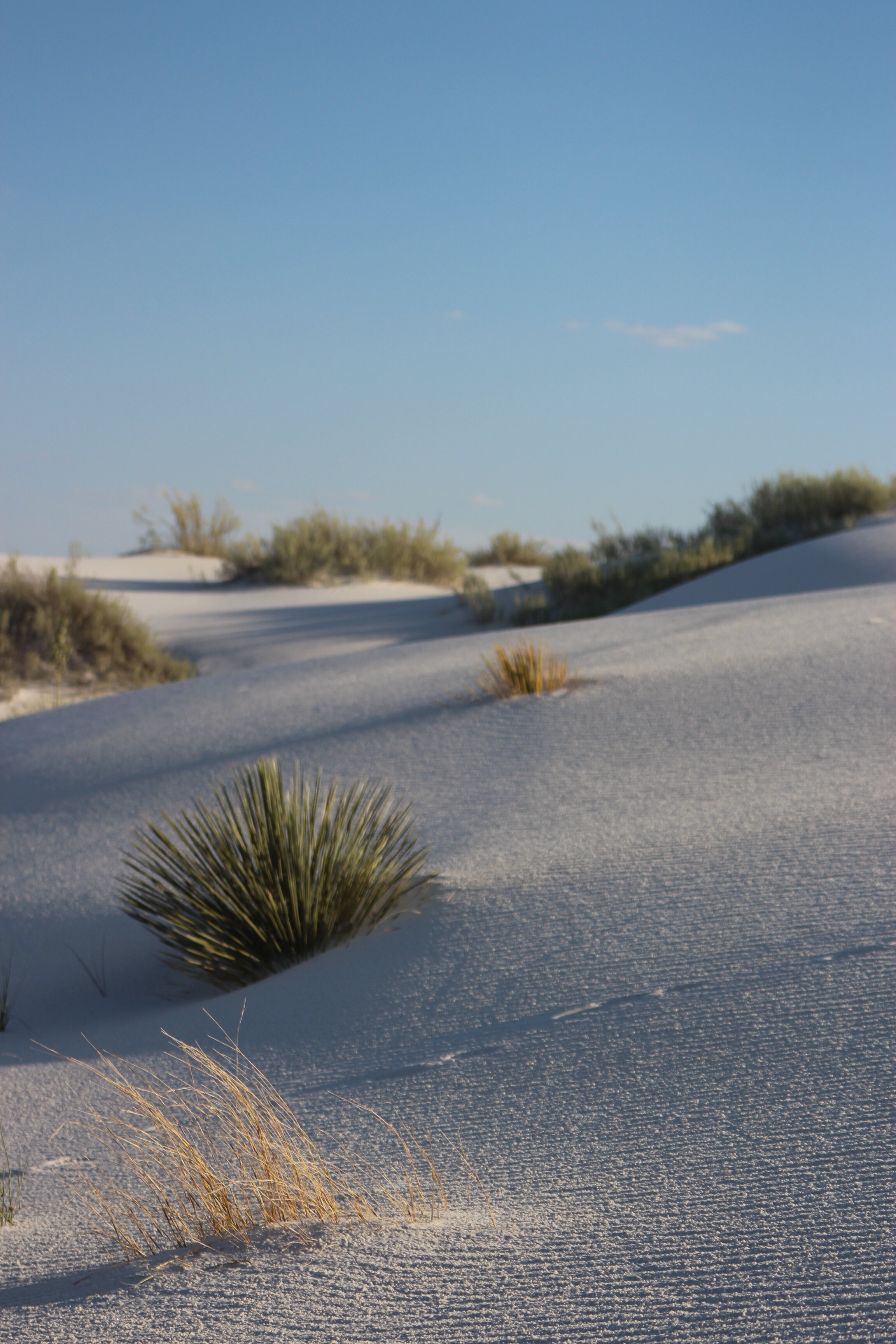 White Sands National Monument, New Mexico