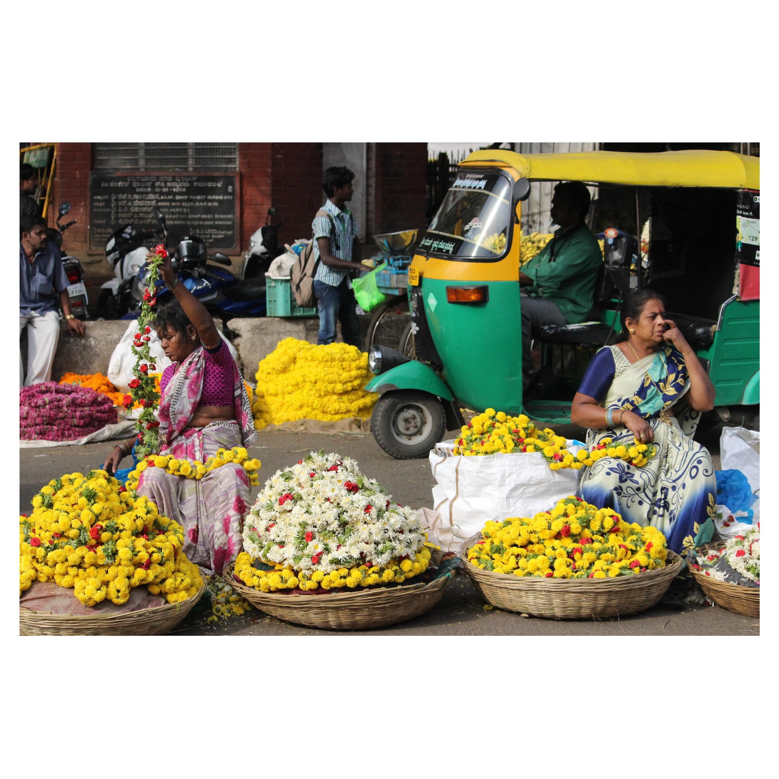 Flowers and their vendors at KR Market in Bangalore, India. April 2017.
#india #krmarketbangalore #bangalore #flowers #tuktuk #market #vendorphotography #color #travelphotography