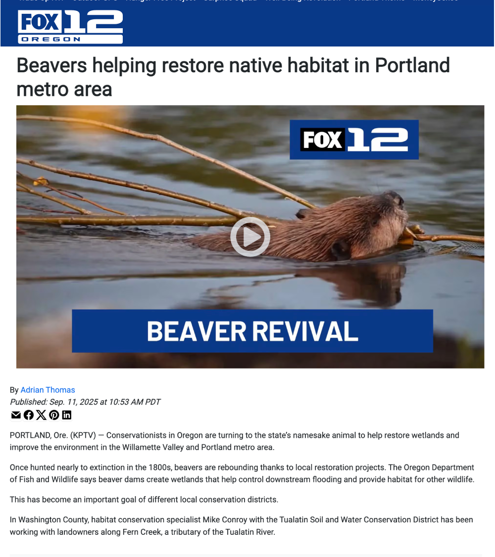 Beaver animal public relations pr.png