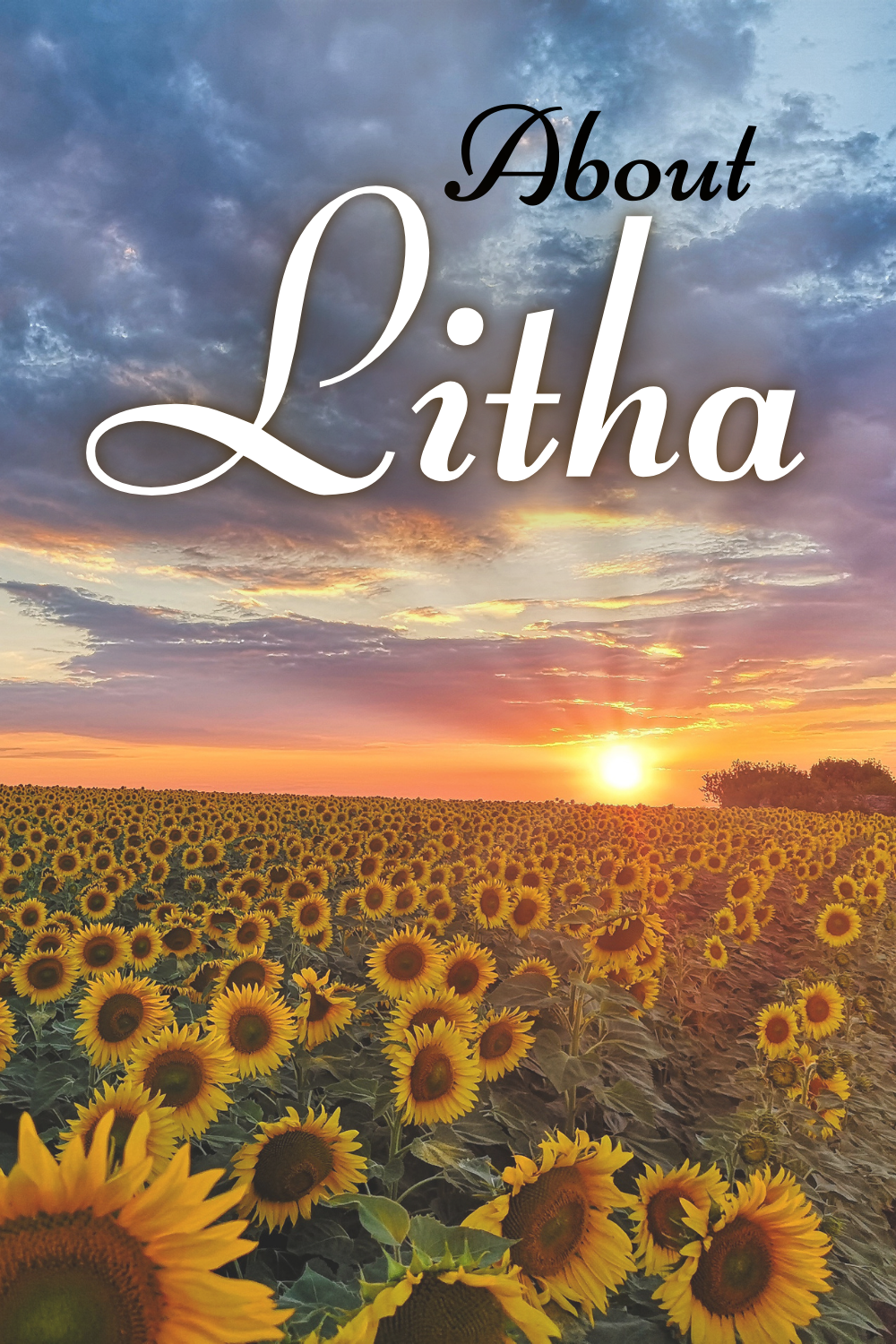 Lithqa Litha Meditation: A Guided Meditation for the Summer Solstice Holiday