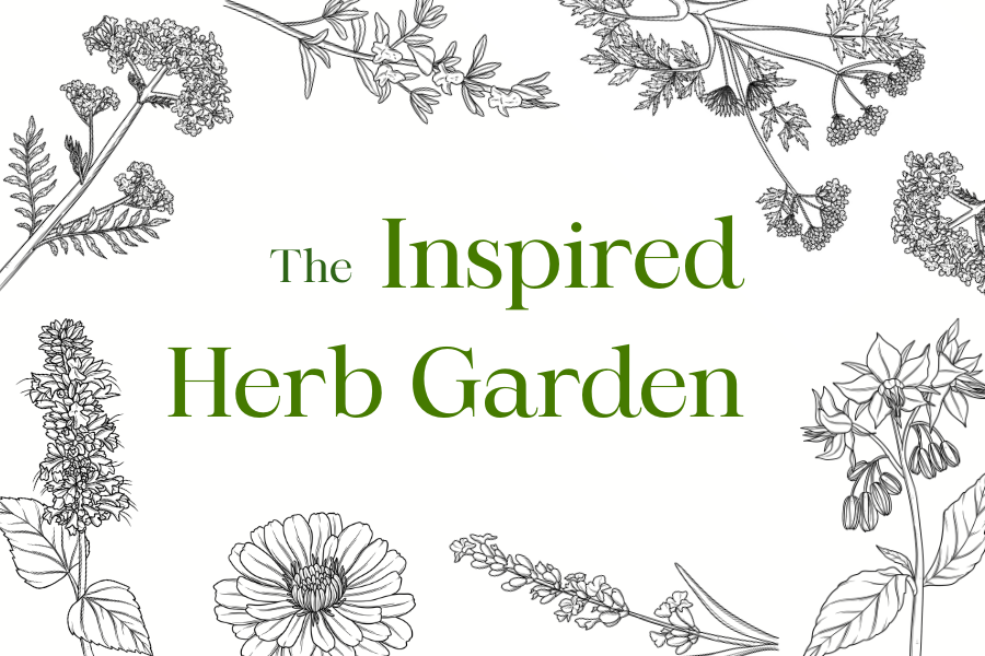 Herb Book Release: The Inspired Herb Garden