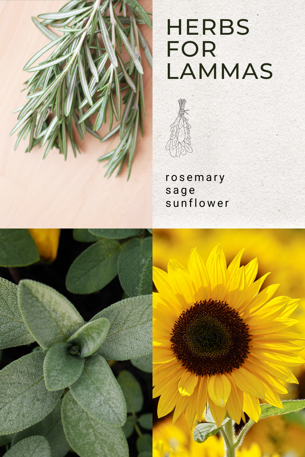 Crystals for Lammas (1).png