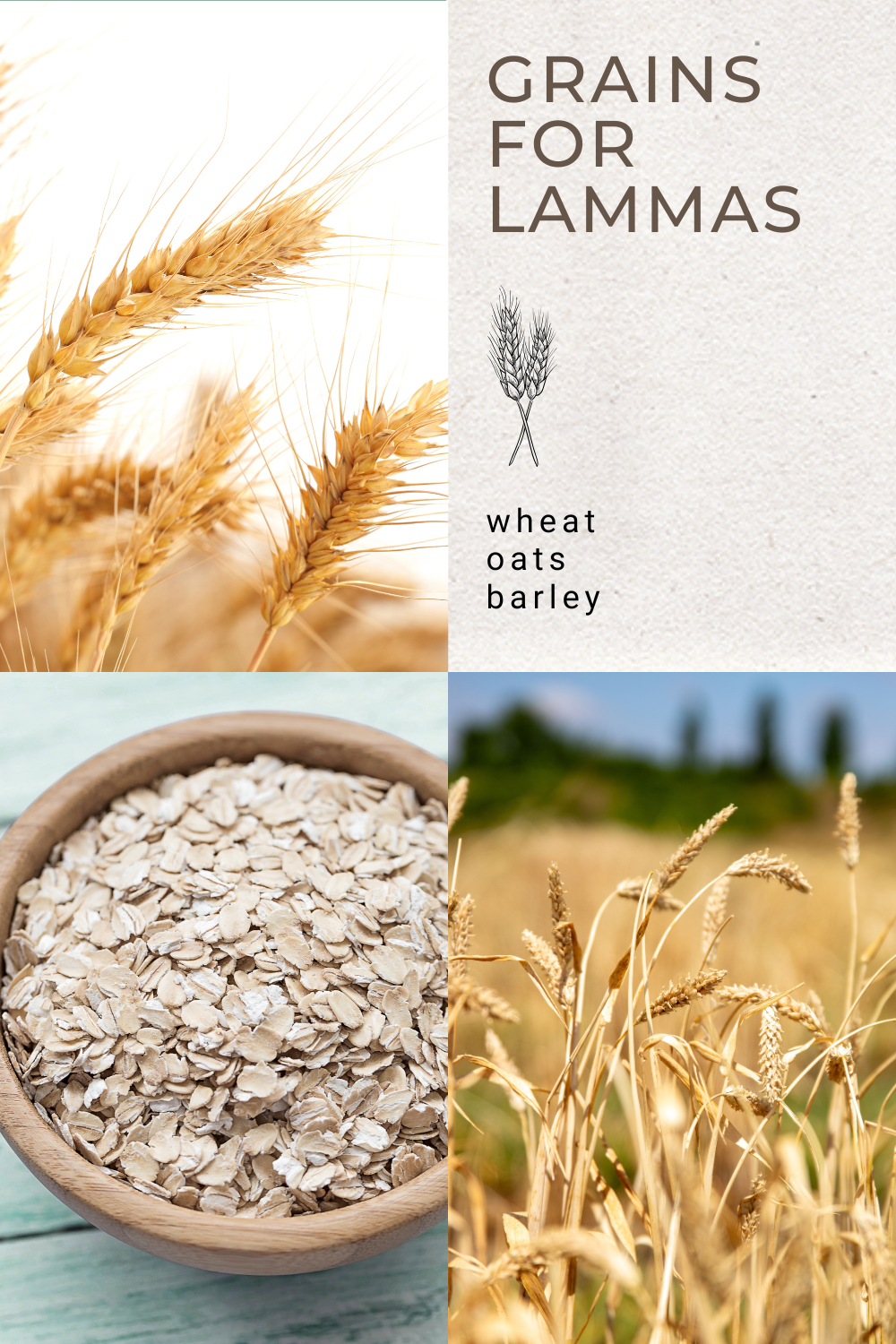 Crystals for Lammas (2).png
