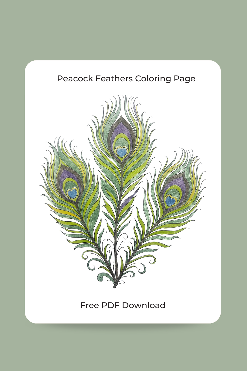 coloring page of three peacock feathers. Free PDF Download