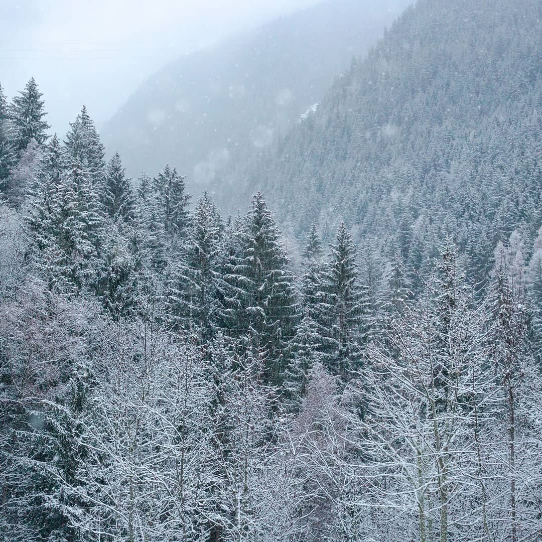 Snow, snow snow!! Resorts full of the white stuff with only locals to make use of it. With kids still in school we're getting up the mountain by hiking then ploughing down through the white fields😍. Uncertain what procedures the French government wi