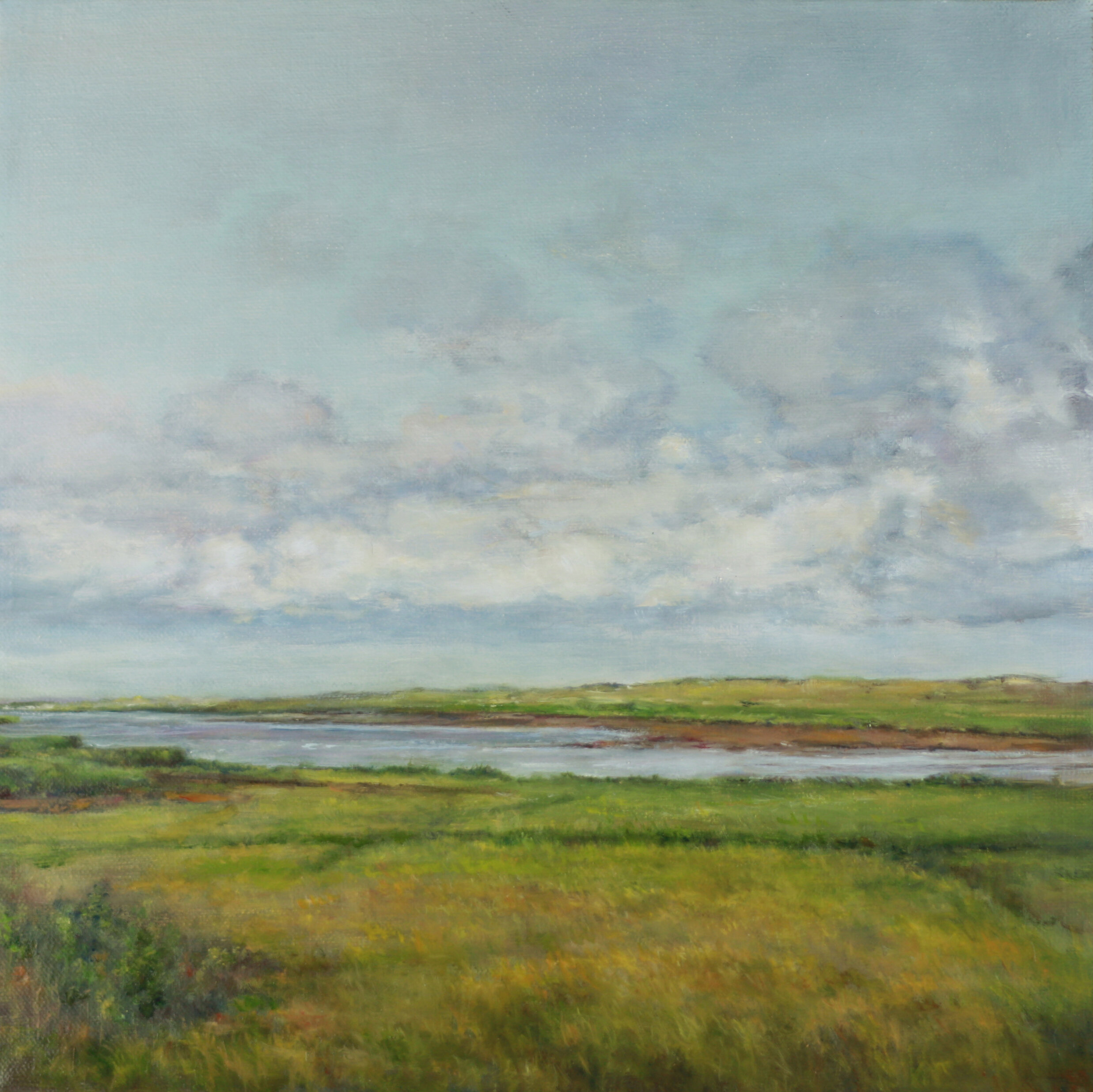  Mary Lou Schempf  Barn Island Meadow,  12” x 12”, oil on canvas  (private collection)  
