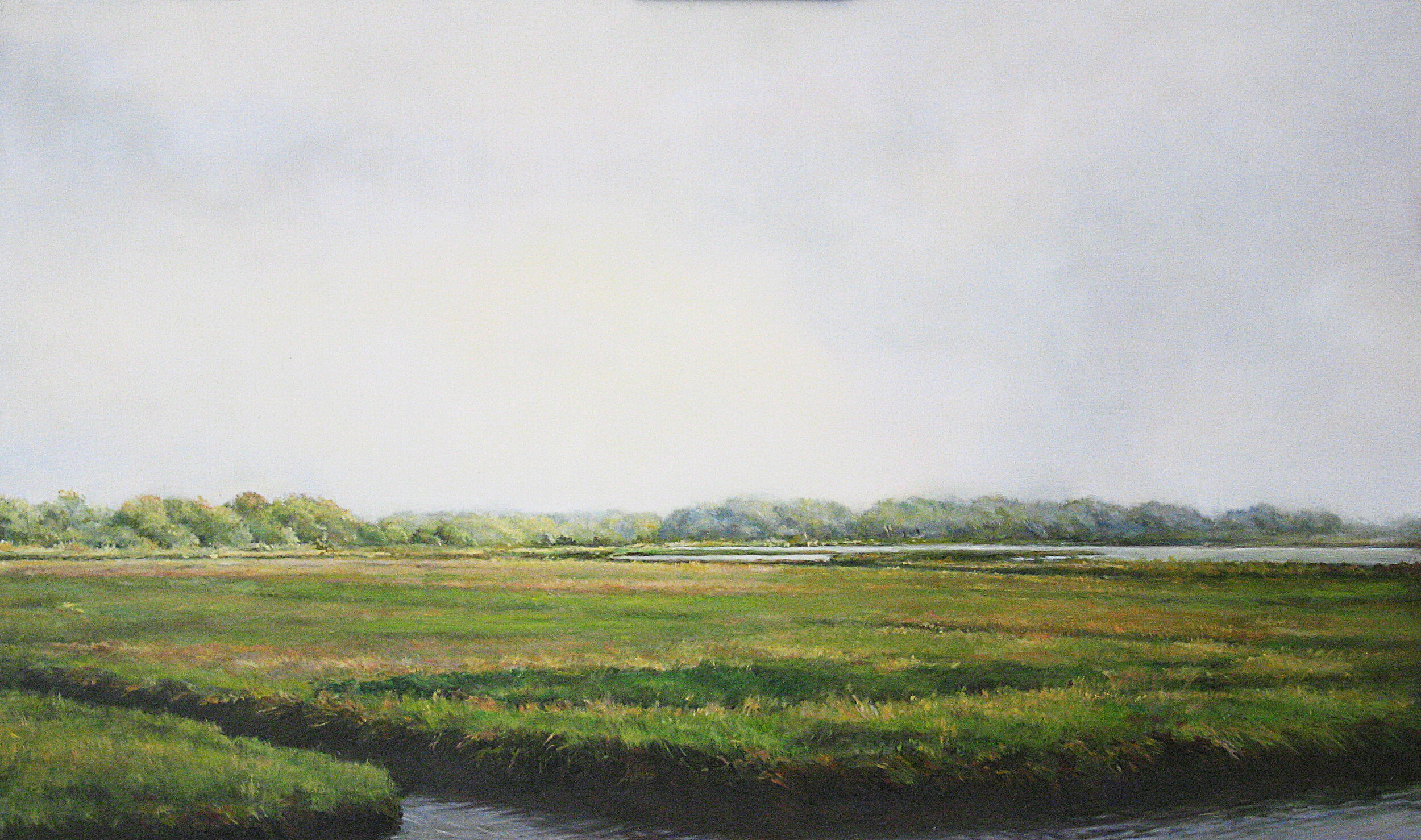  Mary Lou Schempf  Barn Island Salt Marsh Morning,  12” x 20”, oil on board  (private collection)  