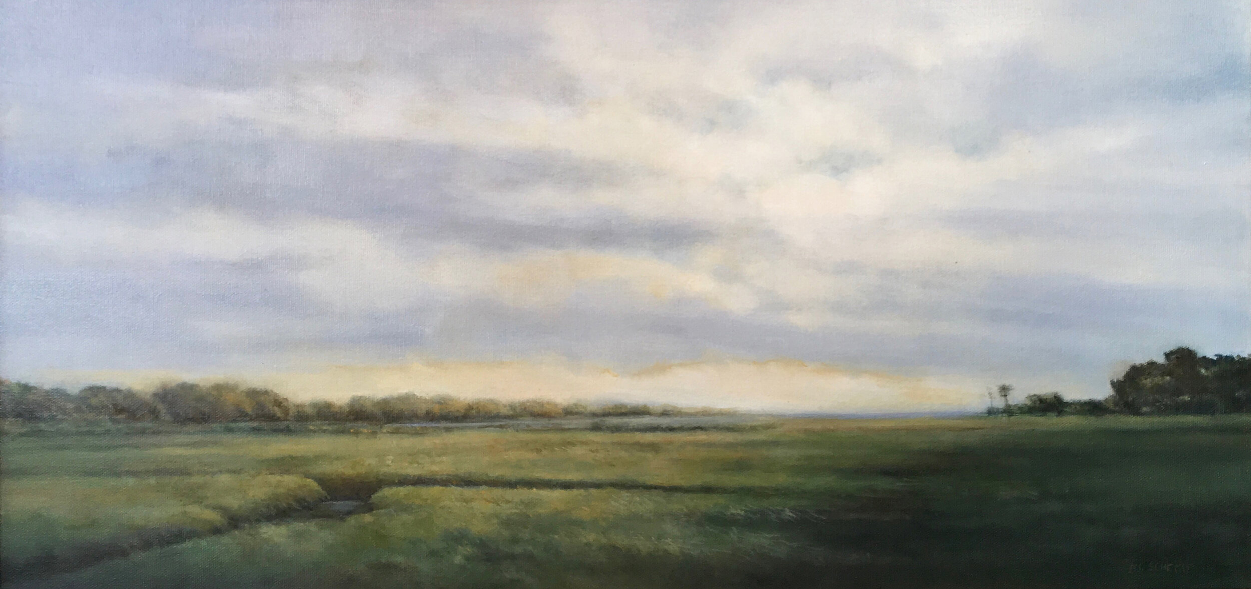  Mary Lou Schempf  Barn Island Shadow,  12” x 24”, oil on canvas  (available)  