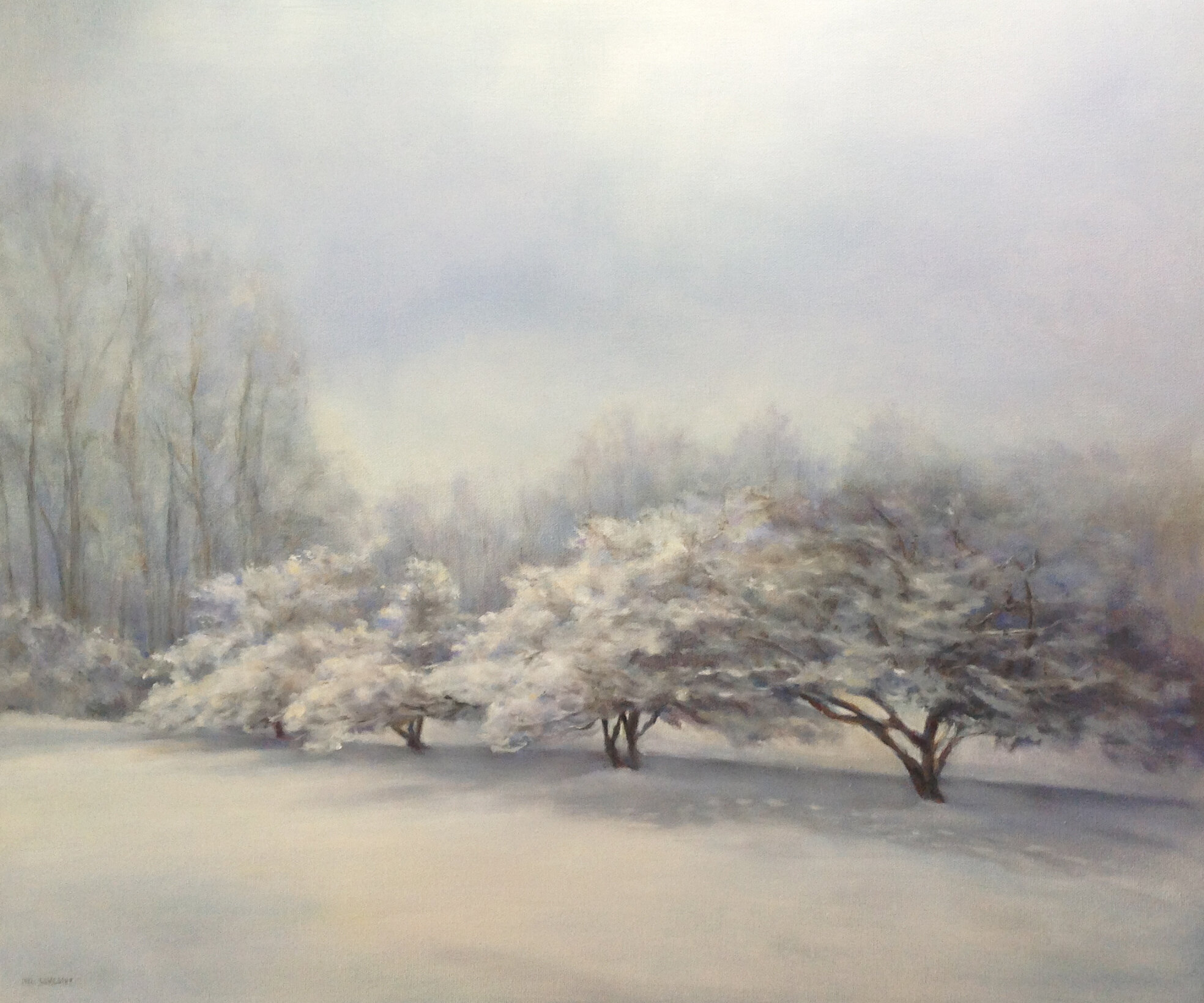  Mary Lou Schempf  Trees With Snow,  20” x 24”, oil on canvas  (private collection)  