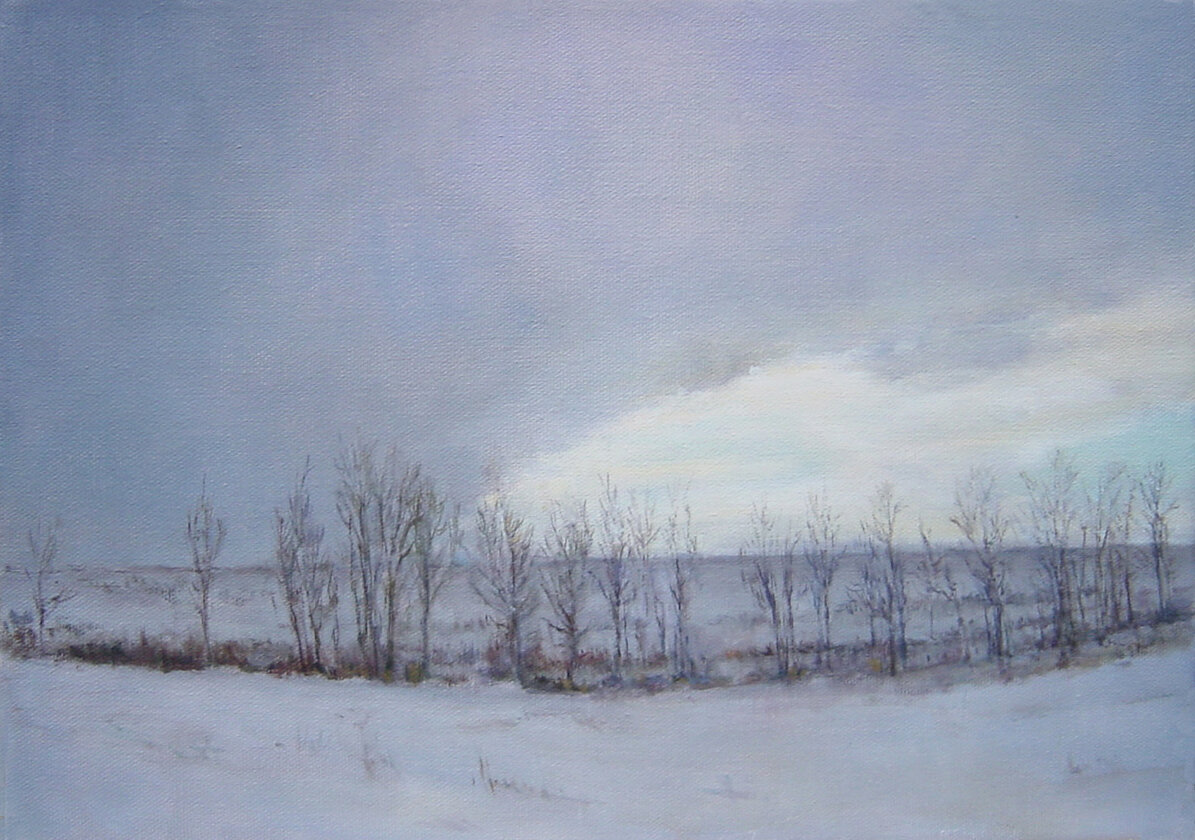  Mary Lou Schempf  Snow, 10” x 14”, oil on canvas  (private collection)  