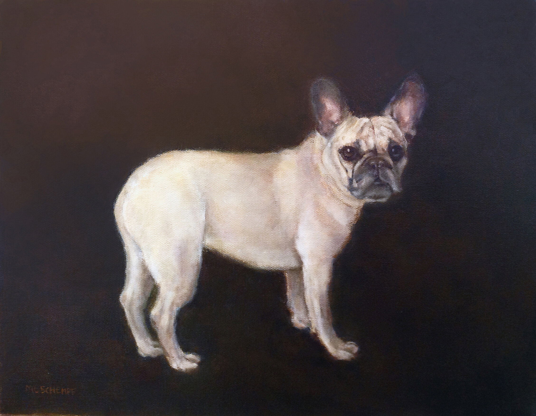  Mary Lou Schempf  Frenchie,  11” x 14”, oil on canvas   (private collection)  