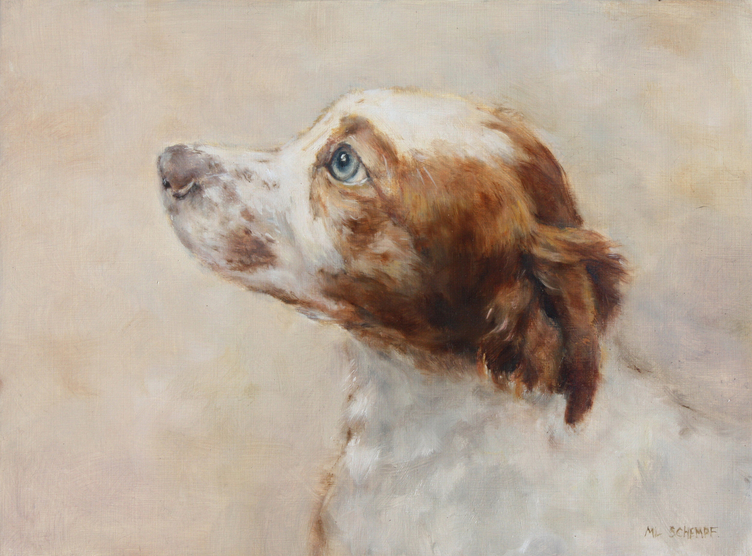 Mary Lou Schempf  Brittany Pup,  9” x 12”, oil on board  (available)  
