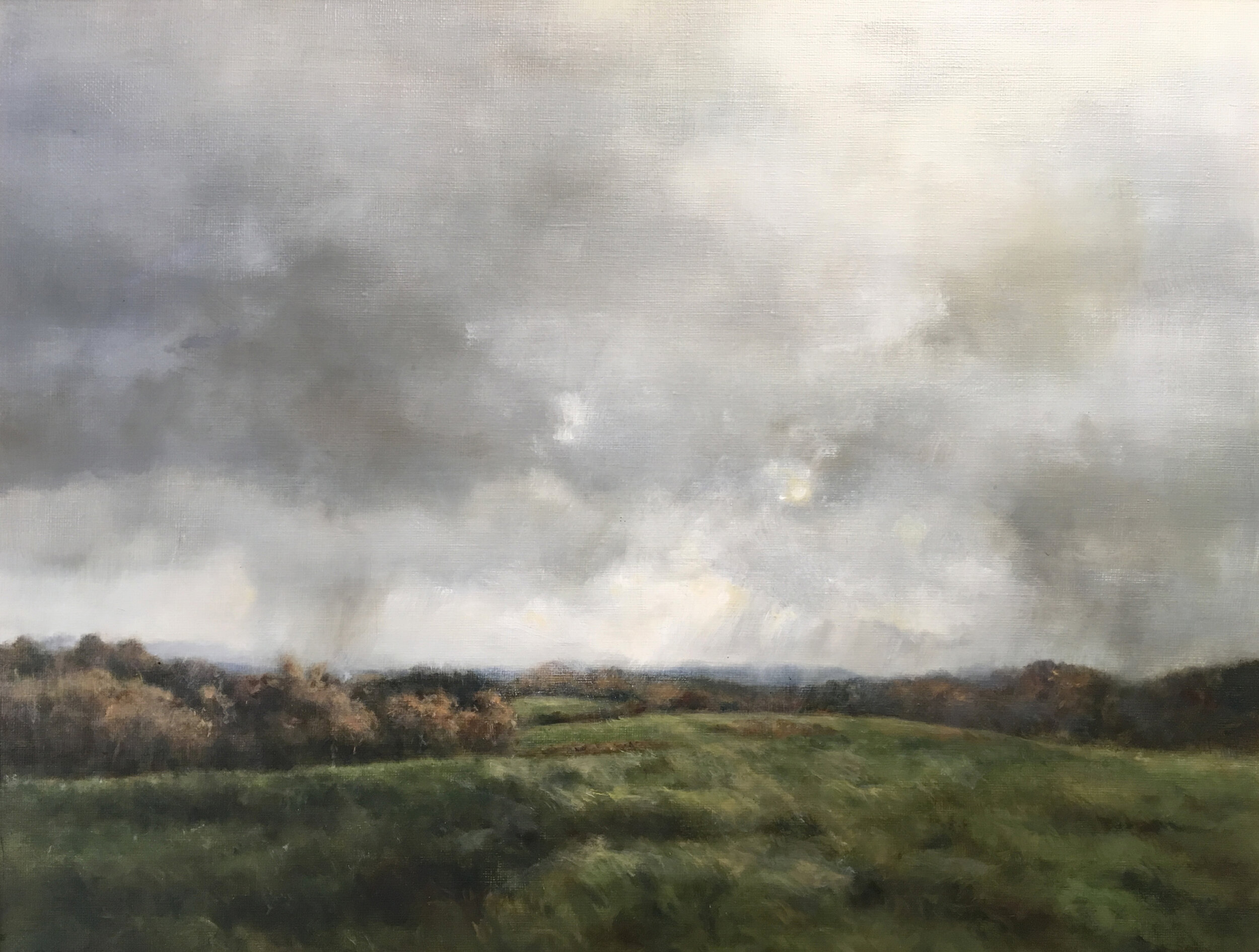  Mary Lou Schempf  Afternoon Rain,  14” x 18”, oil on linen  (private collection)                                                                                                            