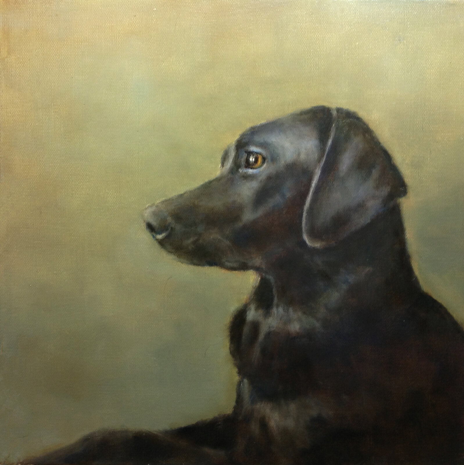  Mary Lou Schempf  Stella,    12” x 12”, oil on canvas  (private collection)  