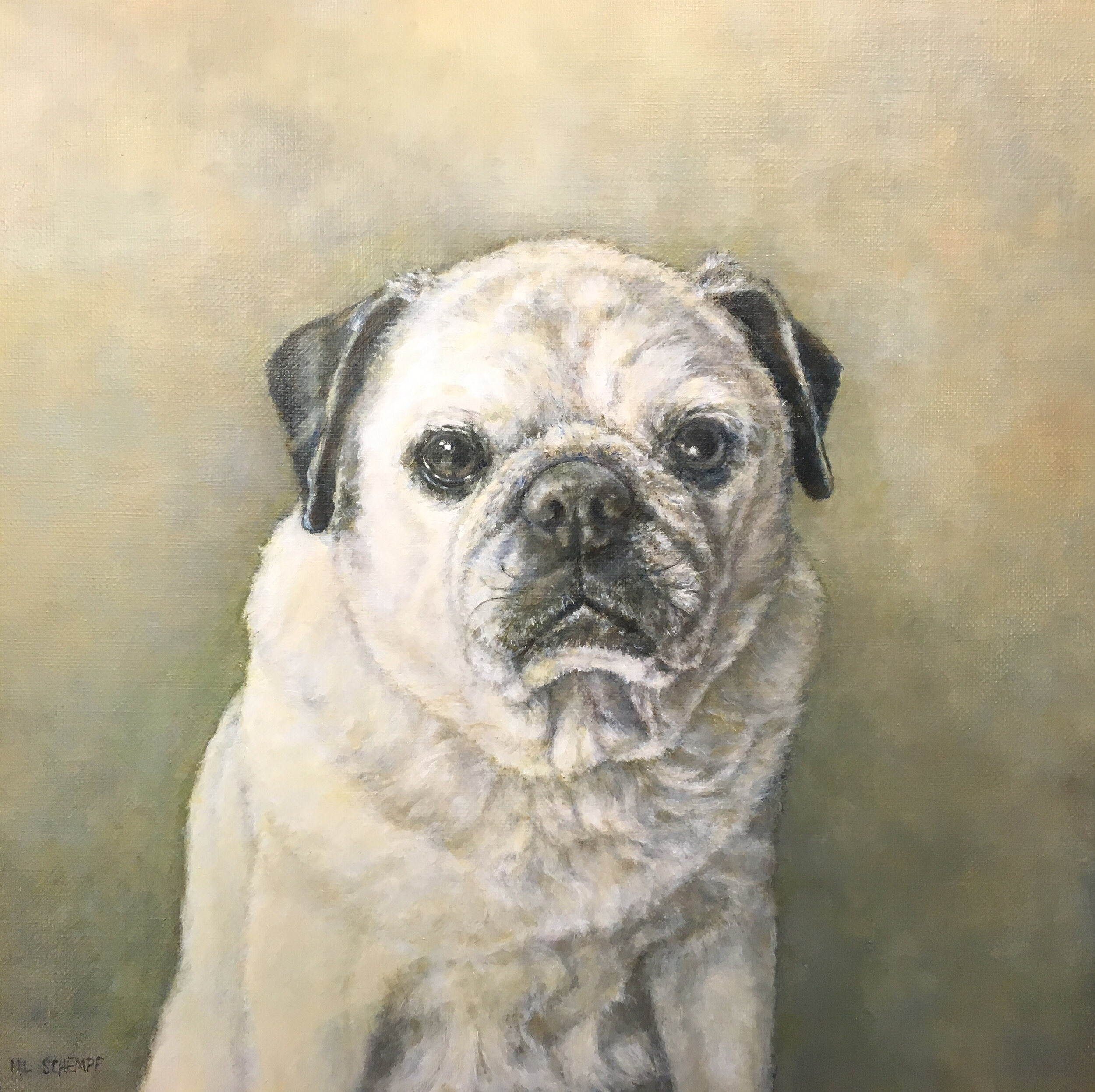  Mary Lou Schempf  Ollie,    12” x 12”, oil on linen   (private collection)  