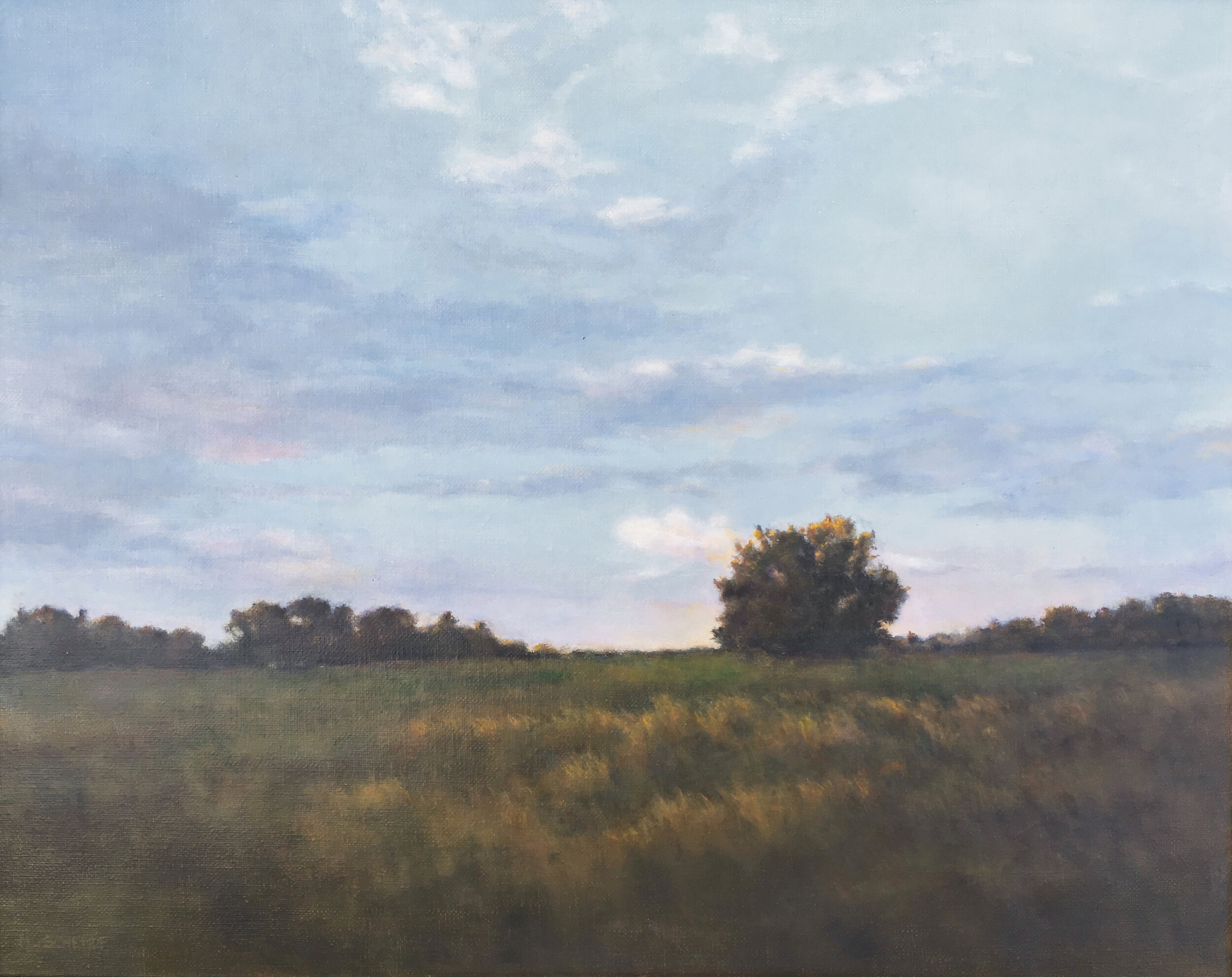  Mary Lou Schempf  Autumn Twilight,  16” x 20”, oil on linen   (available)  