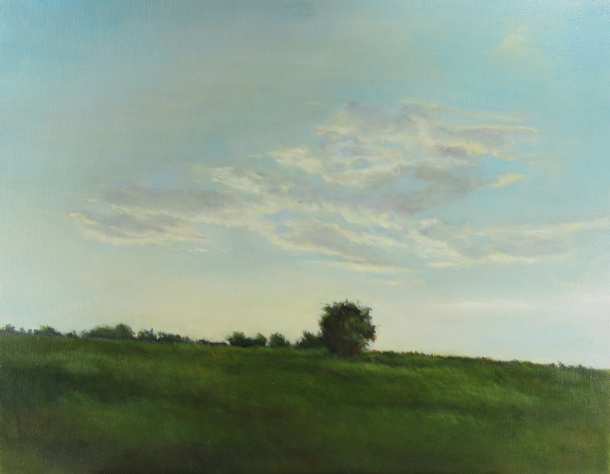  Mary Lou Schempf  Blue Sky, 14” x 18”, oil on canvas   (private collection)   