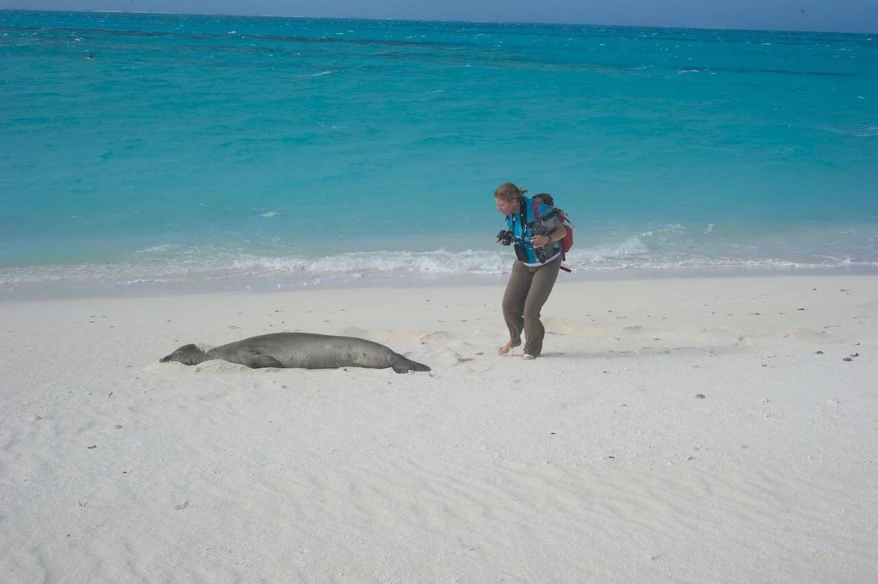Protecting the largest MPA