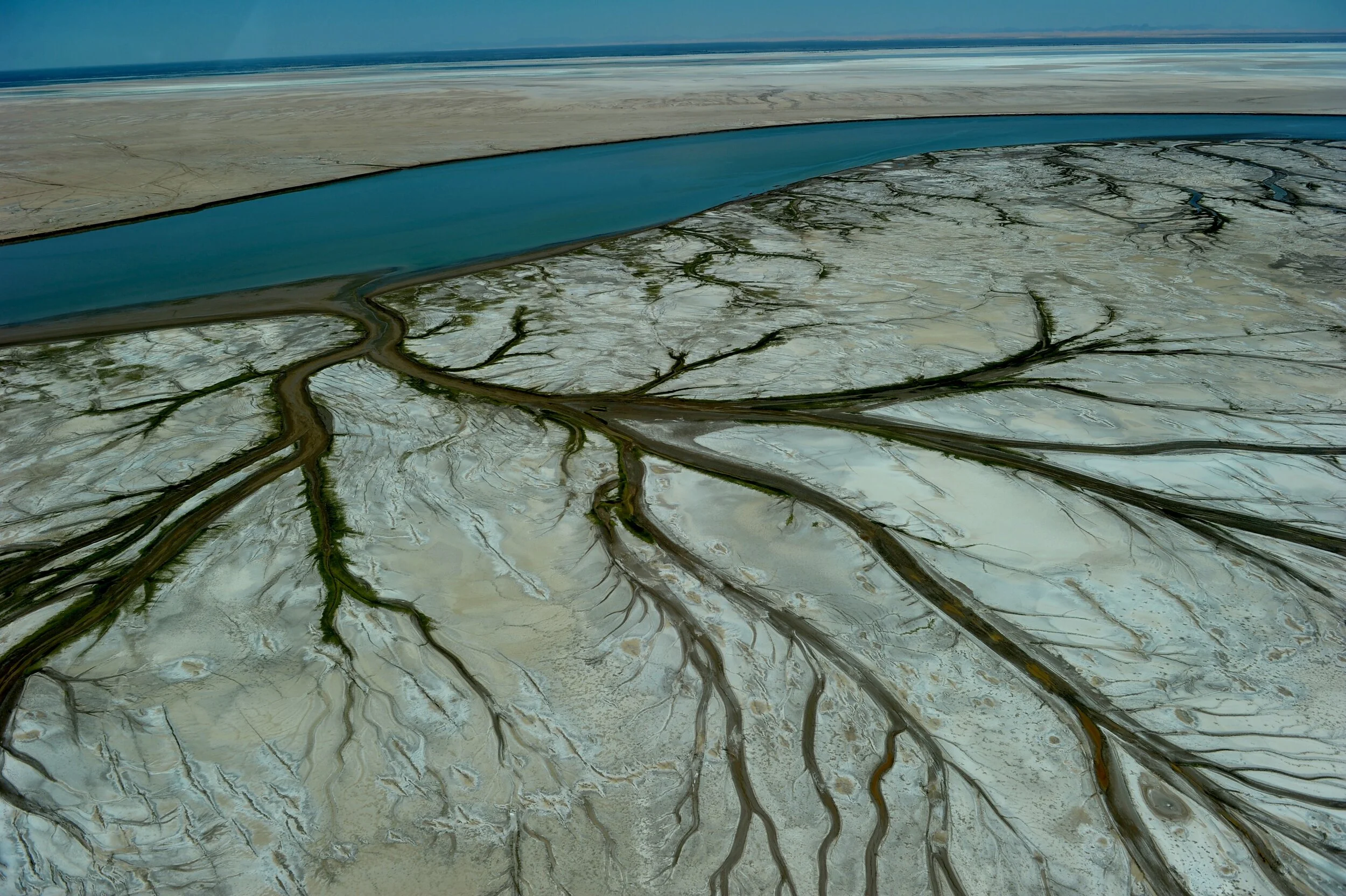 River to the Sea