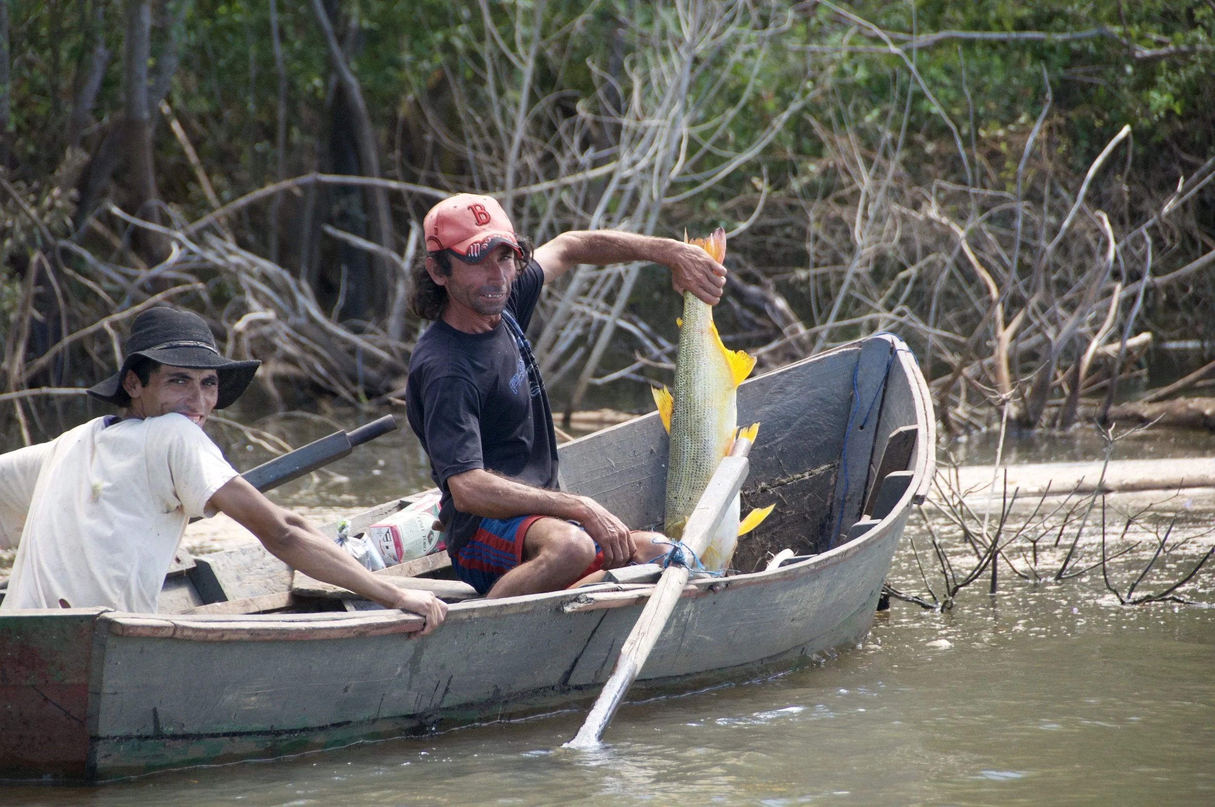 Paraguay fish poacher showing illegal caught Golden Dorado destined for the Brazil fish markets