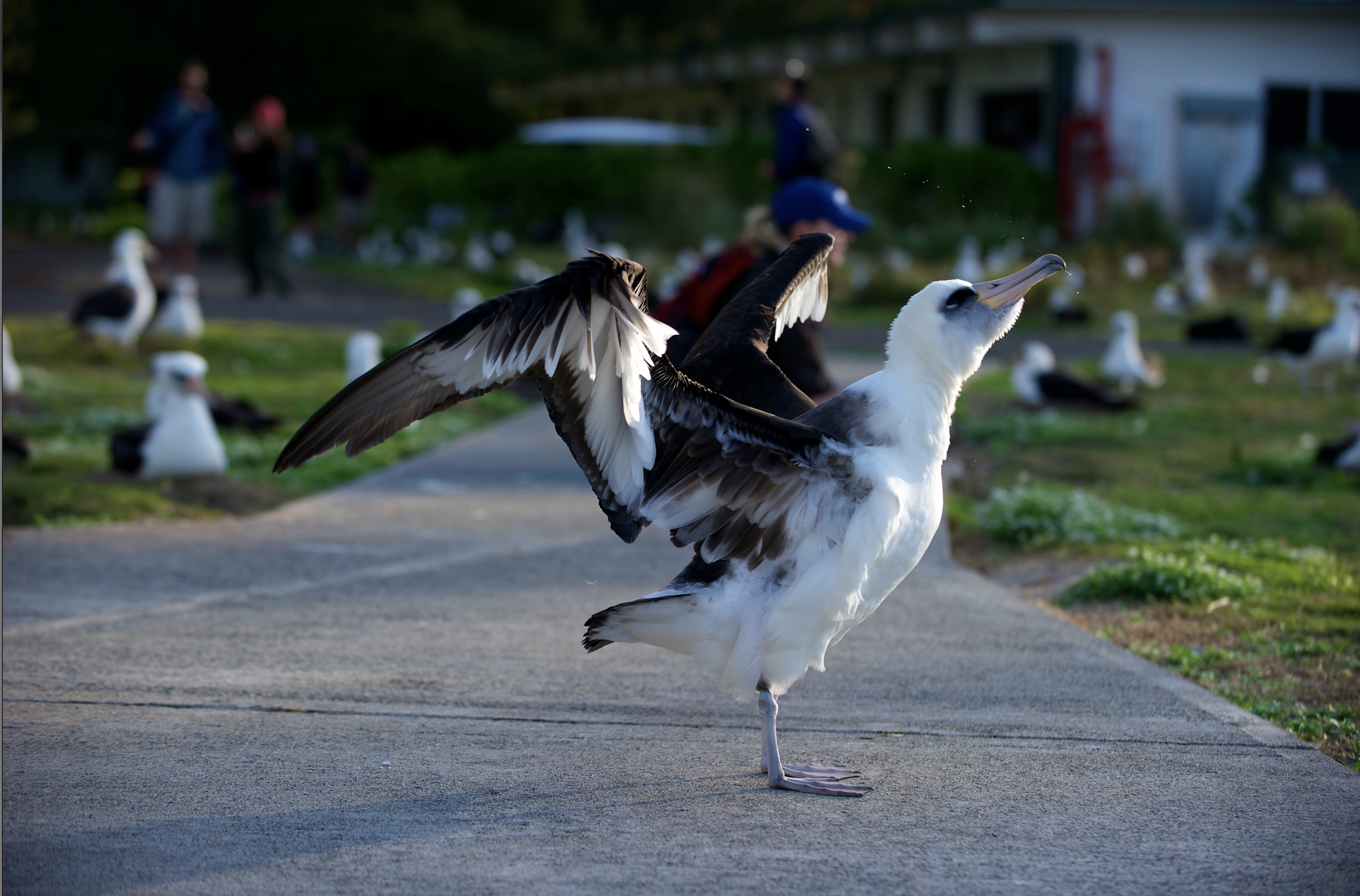 JTM_Photography_6.png