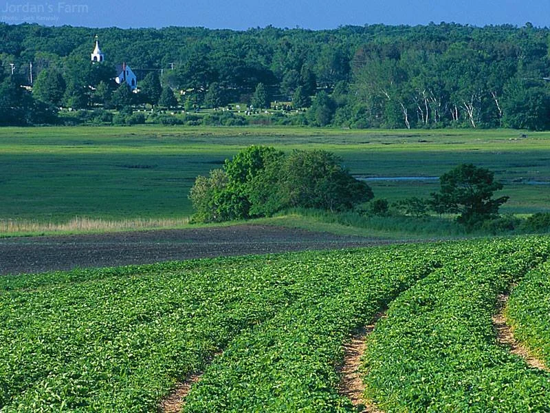 Marion Jasper Jordan Farm photo 1