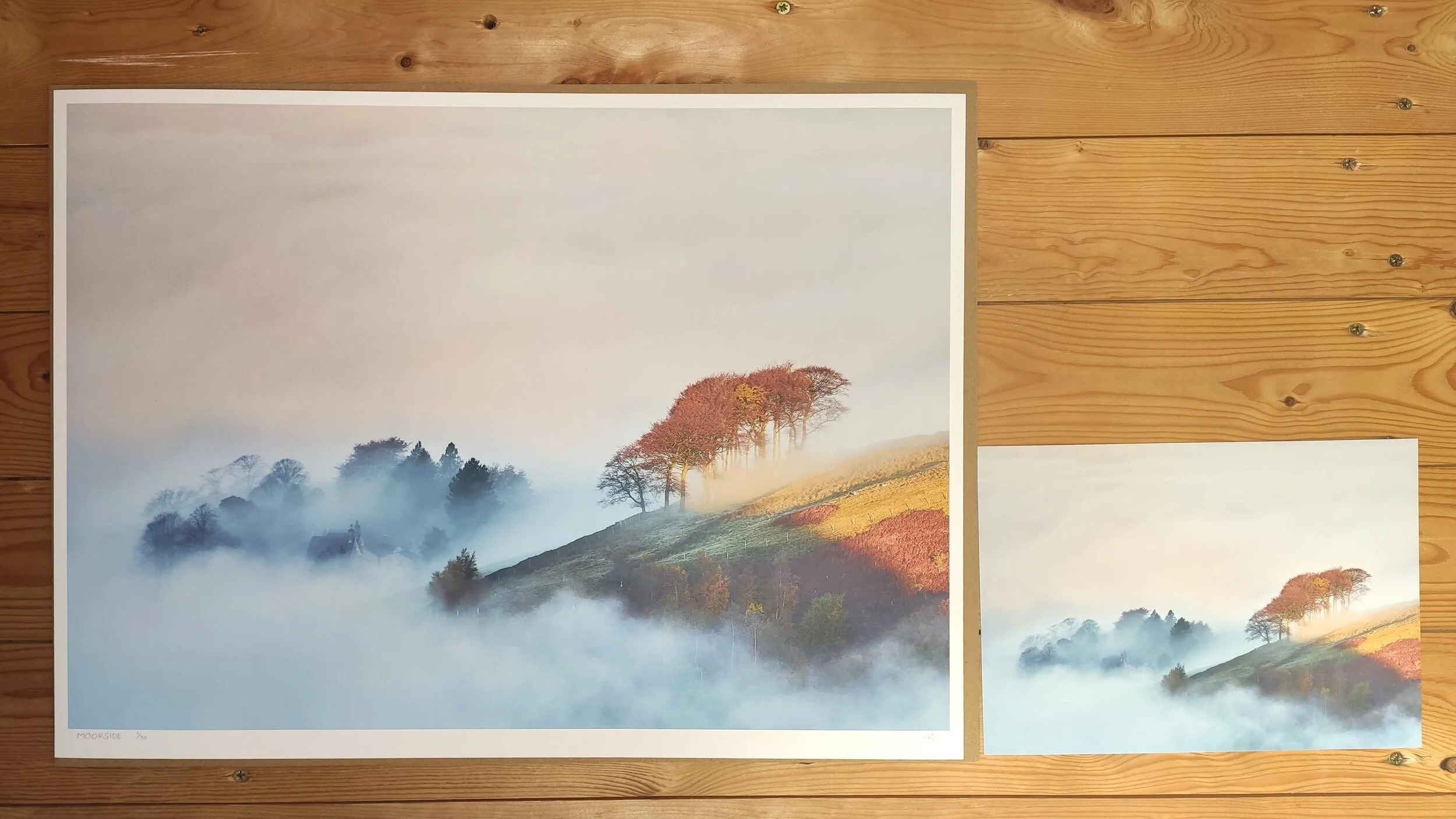 This is a recent print which was made at a brand new size, A2! My first ever print of this size, and I’m truly blown away by the quality. Head over to my blog for more exciting info about this print and a big opportunity of where it could be placed.