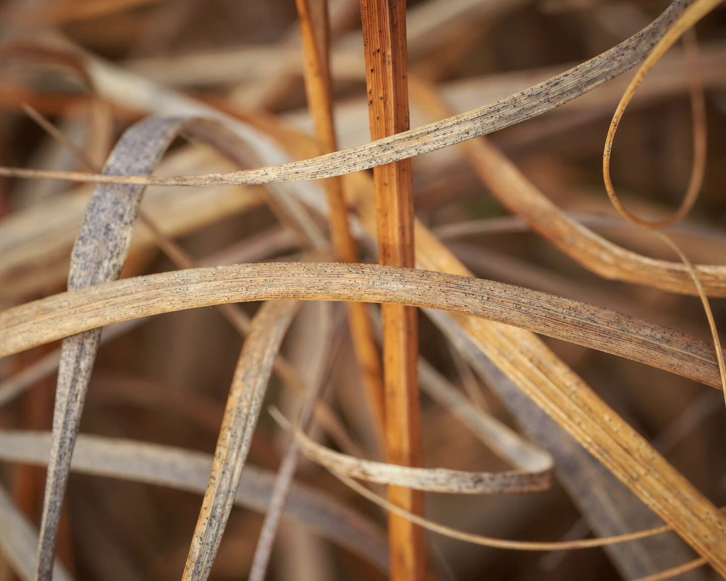 Entwine

Embracing the chaos in the ordinary