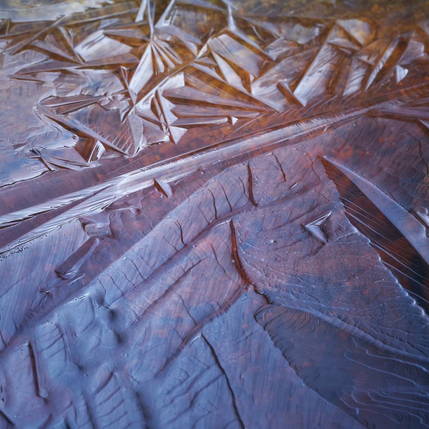 Crinkle Cut Crystalline 
Shimmer and glow,  colours dance from the fragile scene scattered with textures and delicate unique patterns as the light extinguishes over the brow of the moorland.