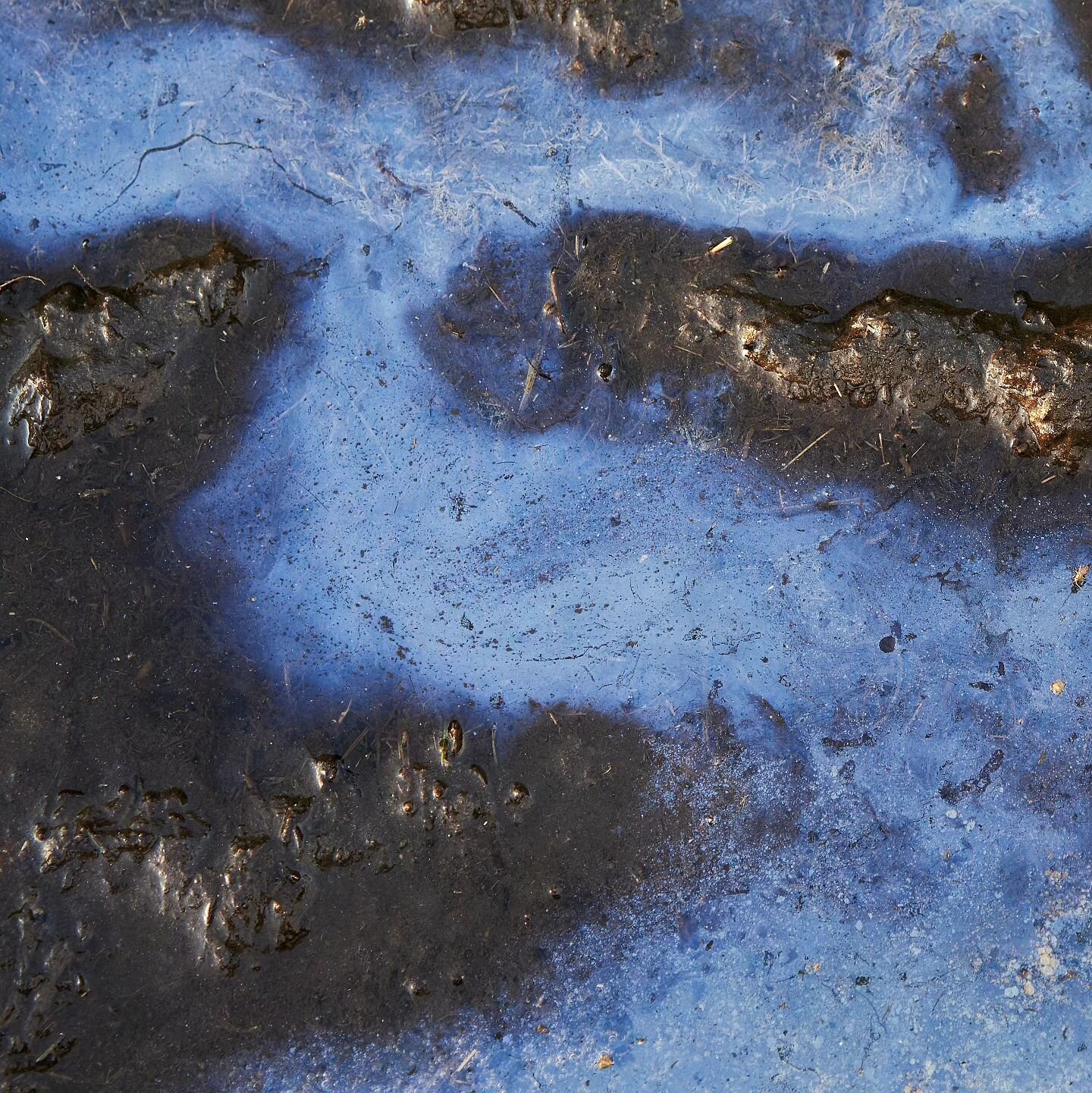 Sluice of Sapphire 

Small scenes often bring challenges. However, if you take the time to really look and explore the subject and how best to interpret the scene thrn it is rewarding. I find this work probably the most therapeutic, often spending th