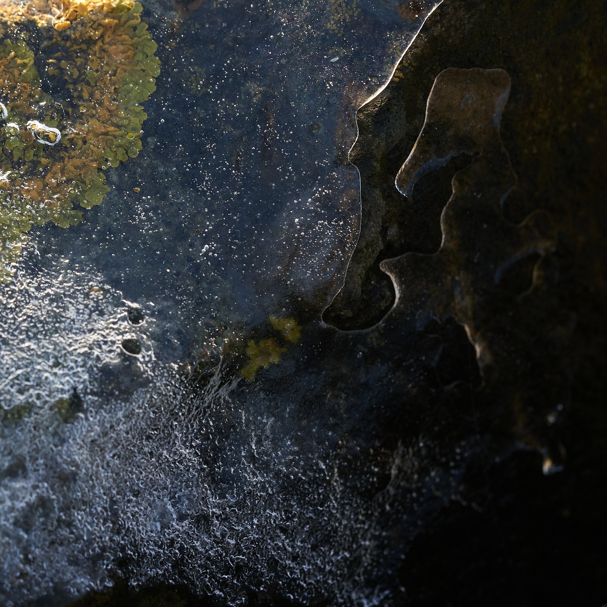 Jan1.2 25 6webuse.jpg