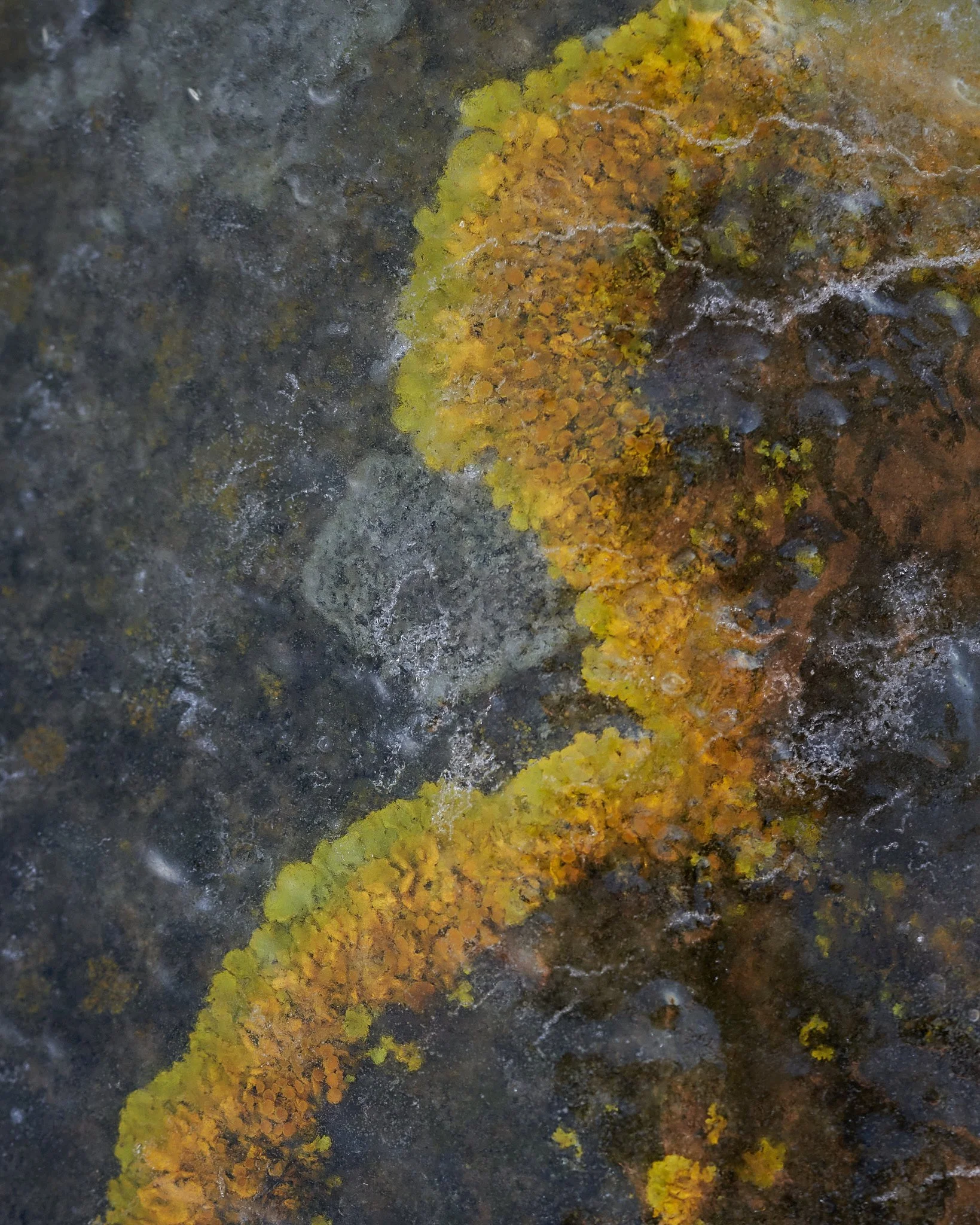 Jan1.2 25 7webuse.jpg