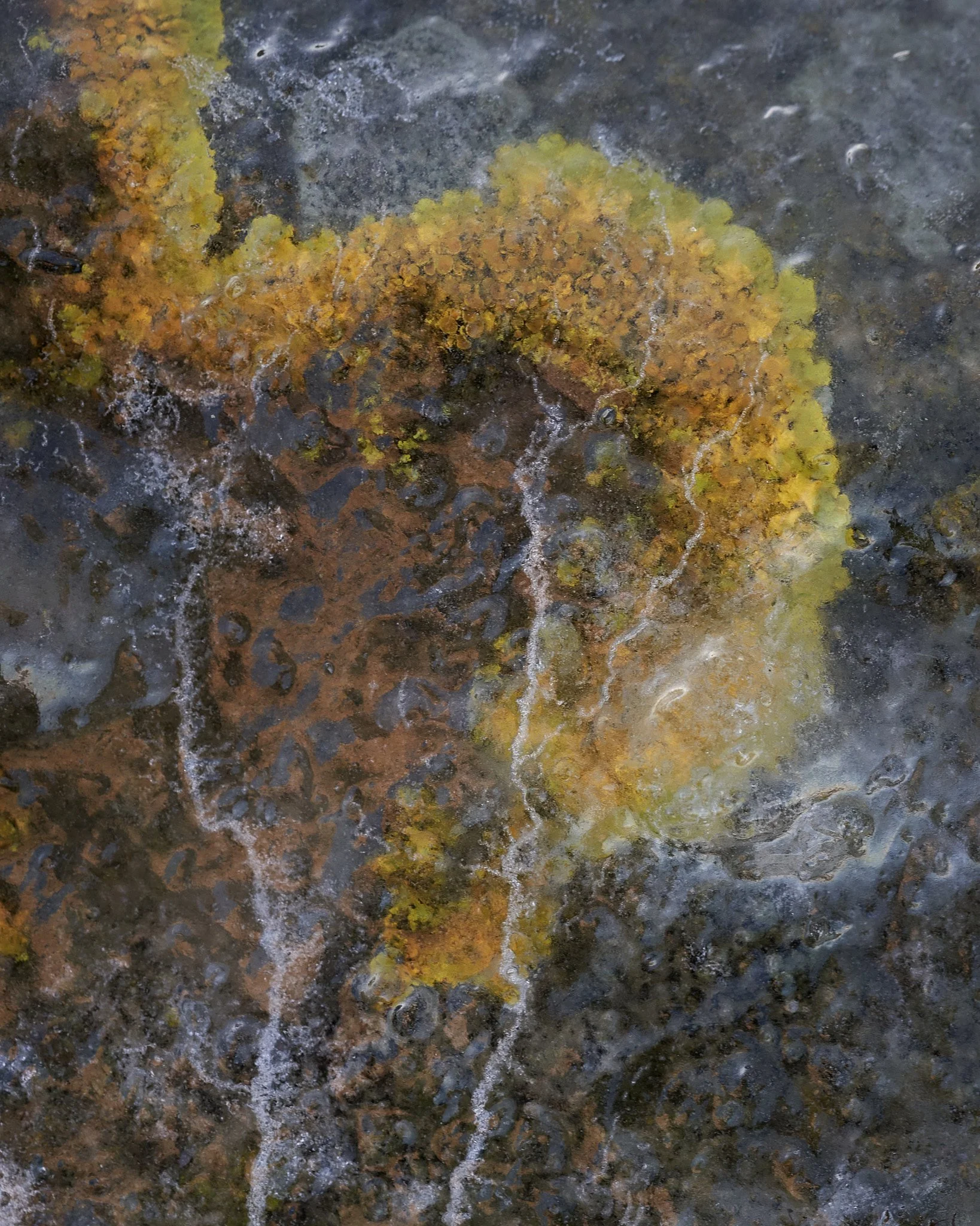 Jan1.2 25 9webuse.jpg