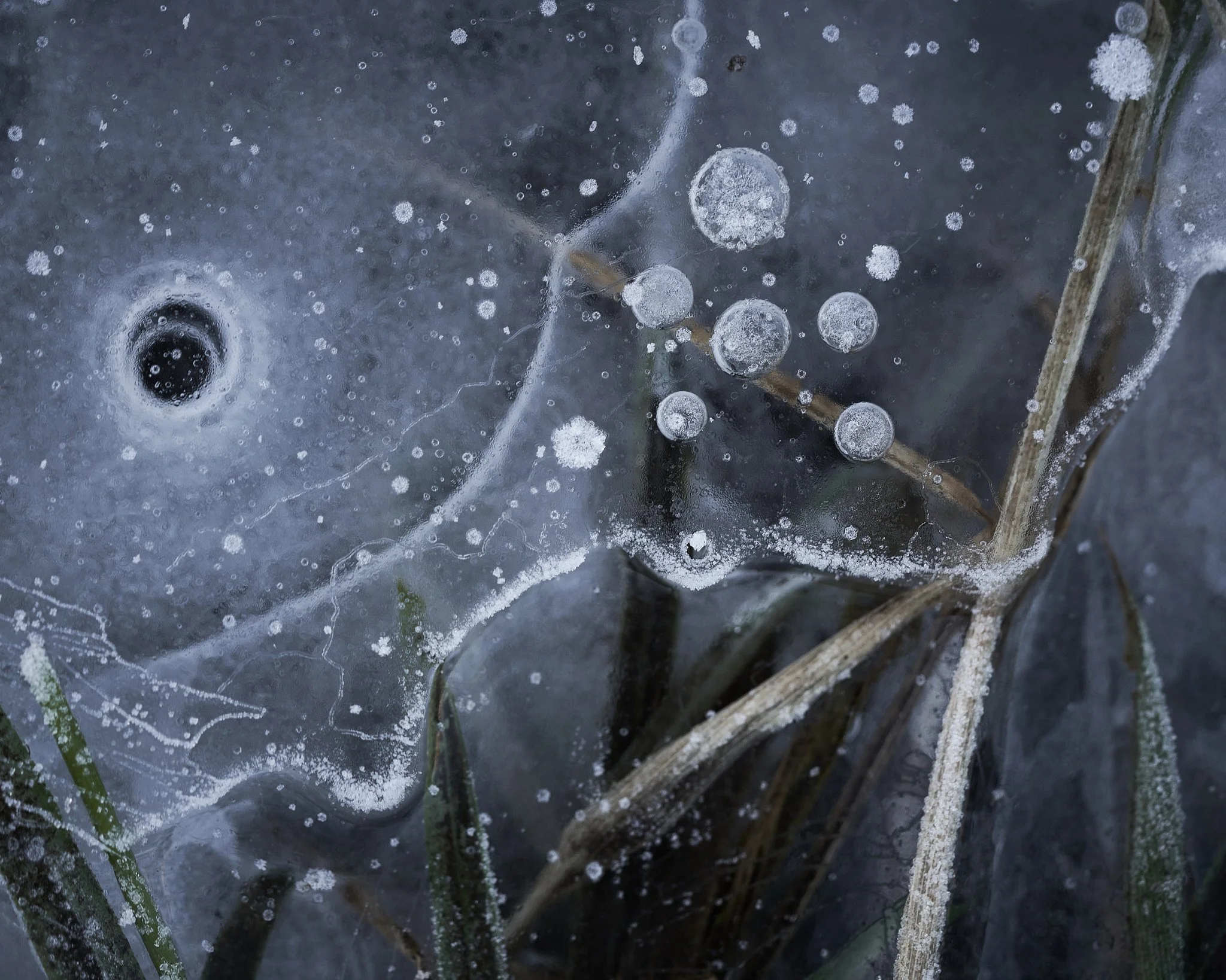 Jan1.2 25 15webuse.jpg