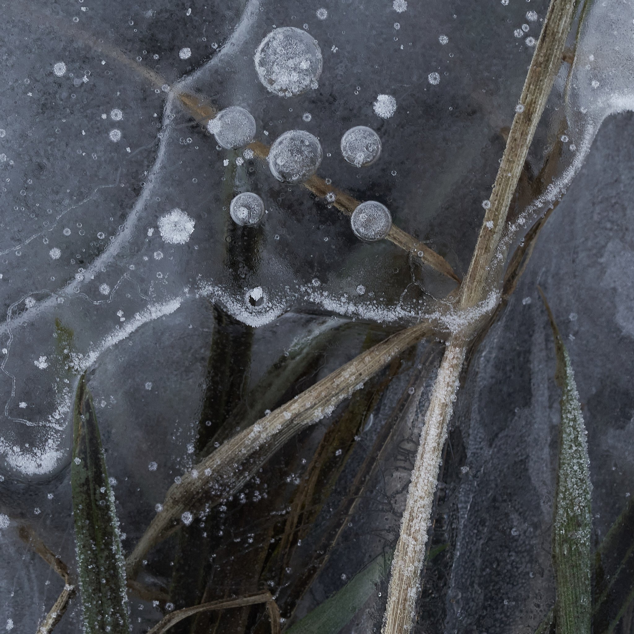 Jan1.2 25 22webuse.jpg