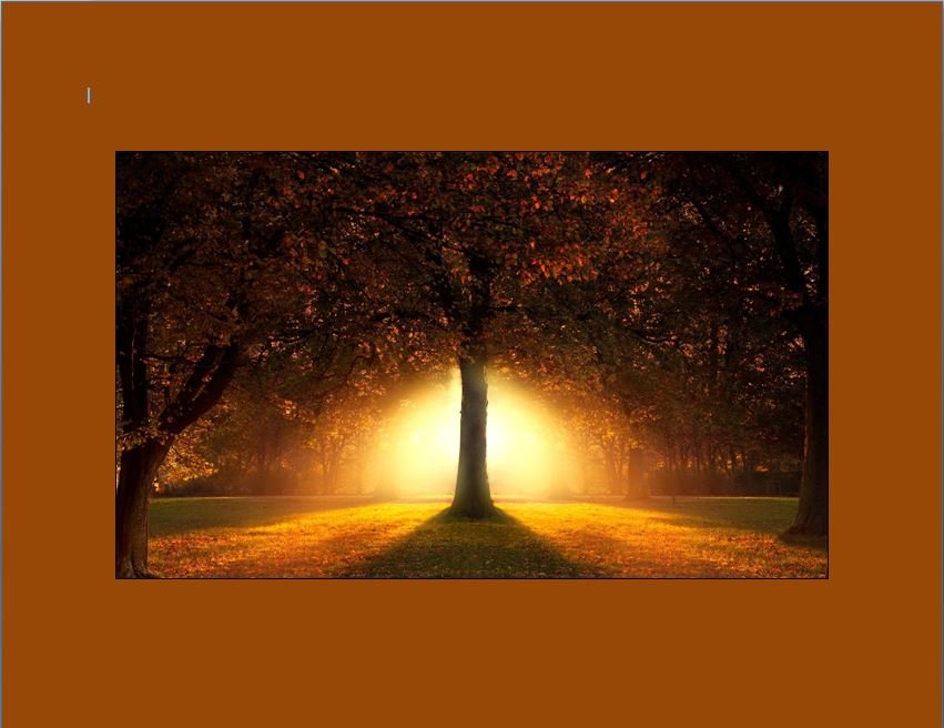 CaptureTree Memorial.JPG