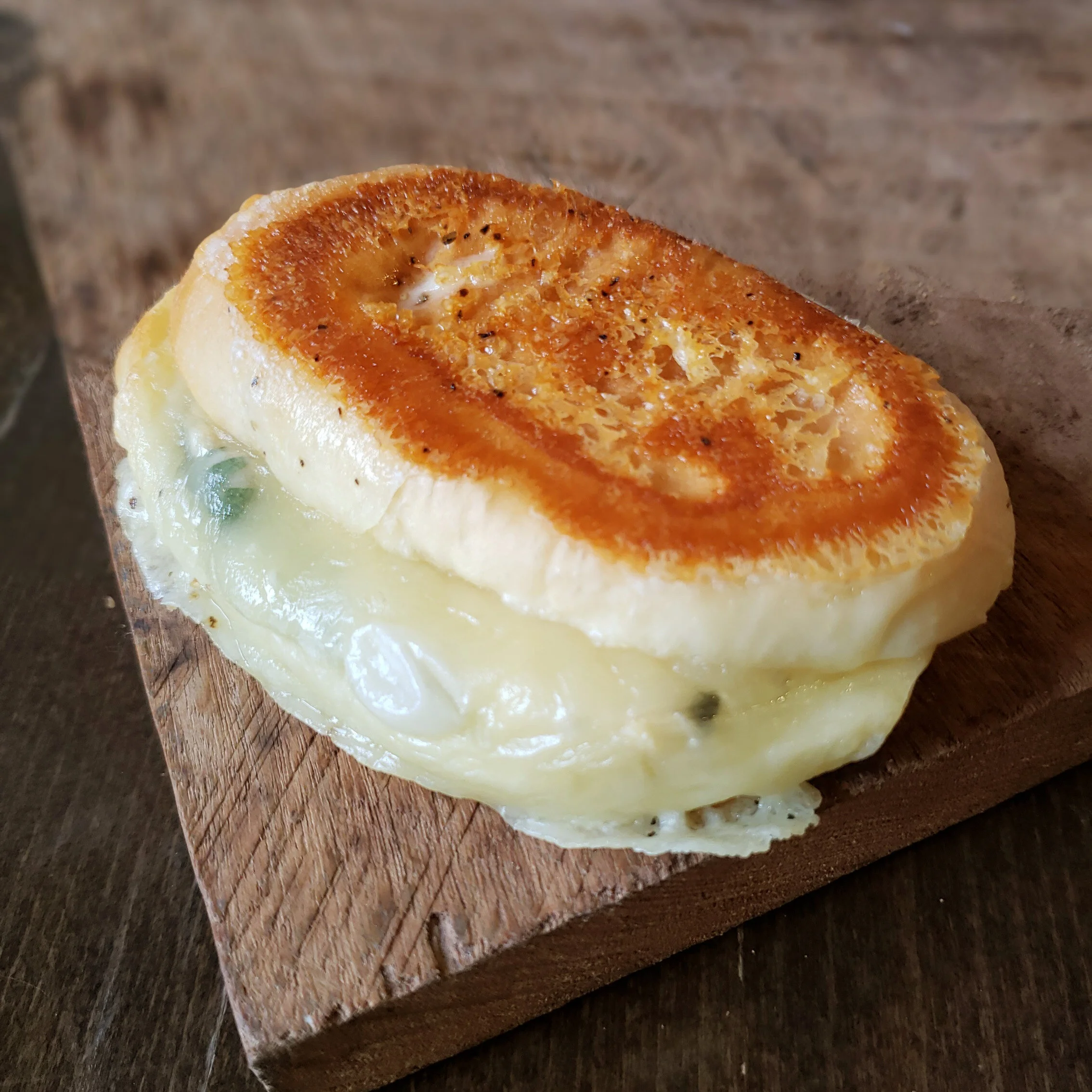 Tuna Melt Panini