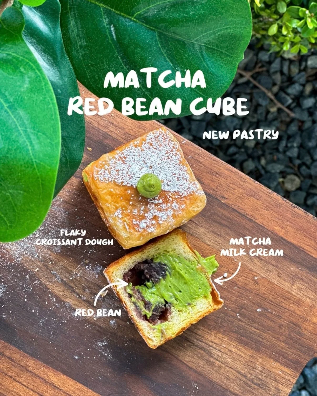 ✨NEW MENU✨ | Matcha Red Bean Cube

Try our new pastry menu in Laguna Niguel location! 

Its a special menu in Laguna Niguel location 🤩 

#okayamakobo #matcharedbeancube #newpastry