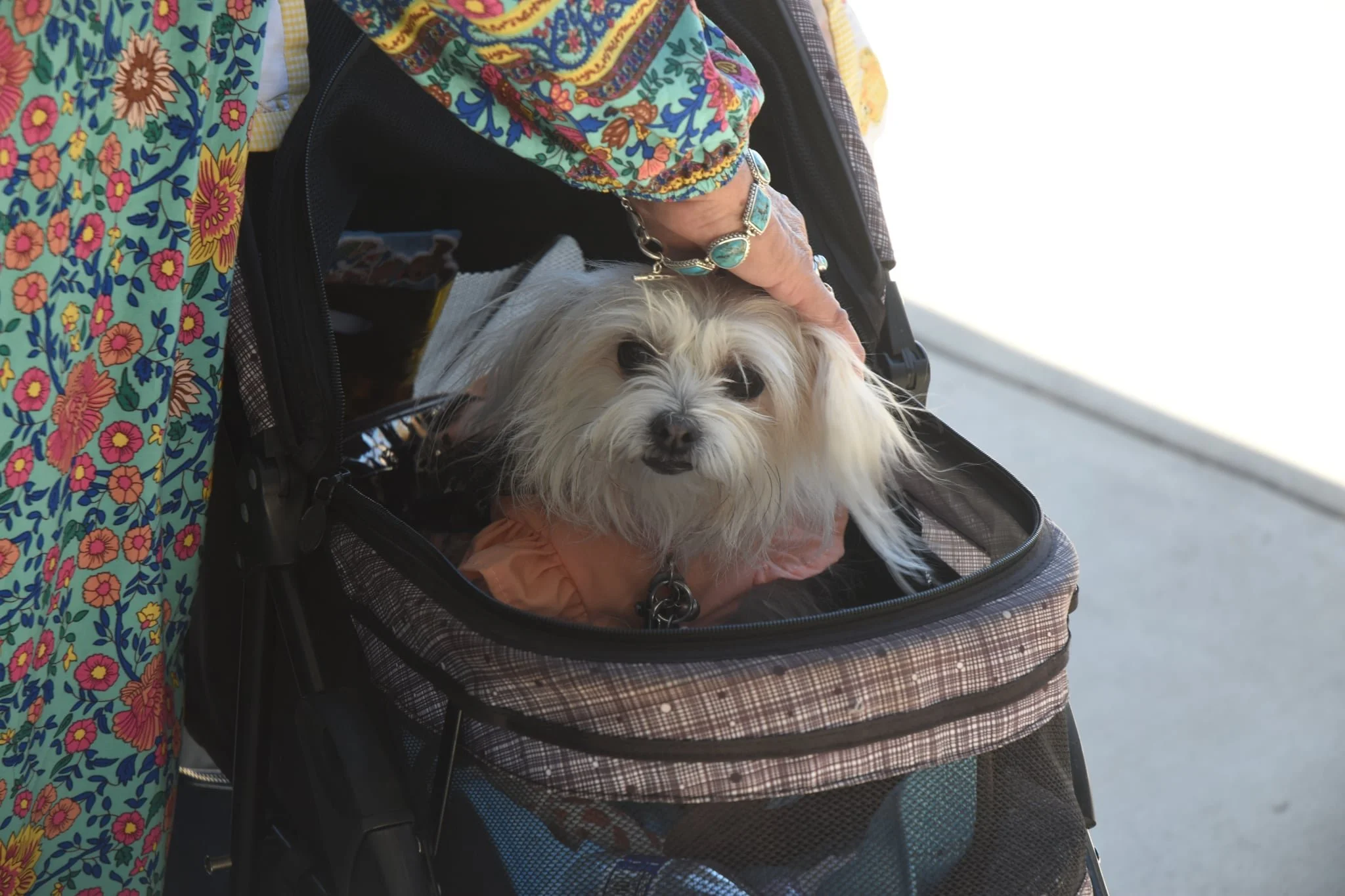 d3d30872-afb2-4406-8695-dbfcd8c28f79.jpeg