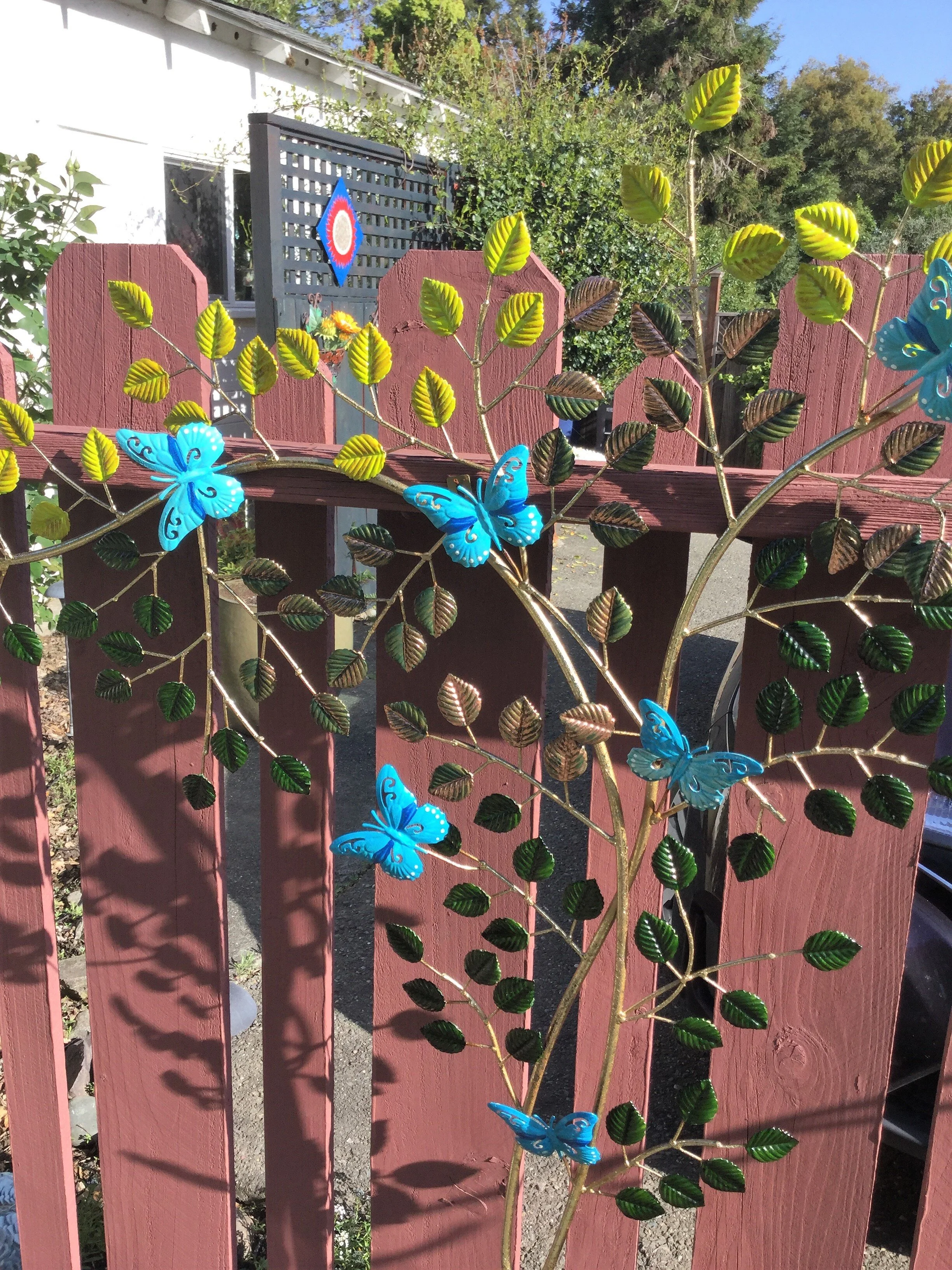#35 Pipevine butterfly vines.jpg